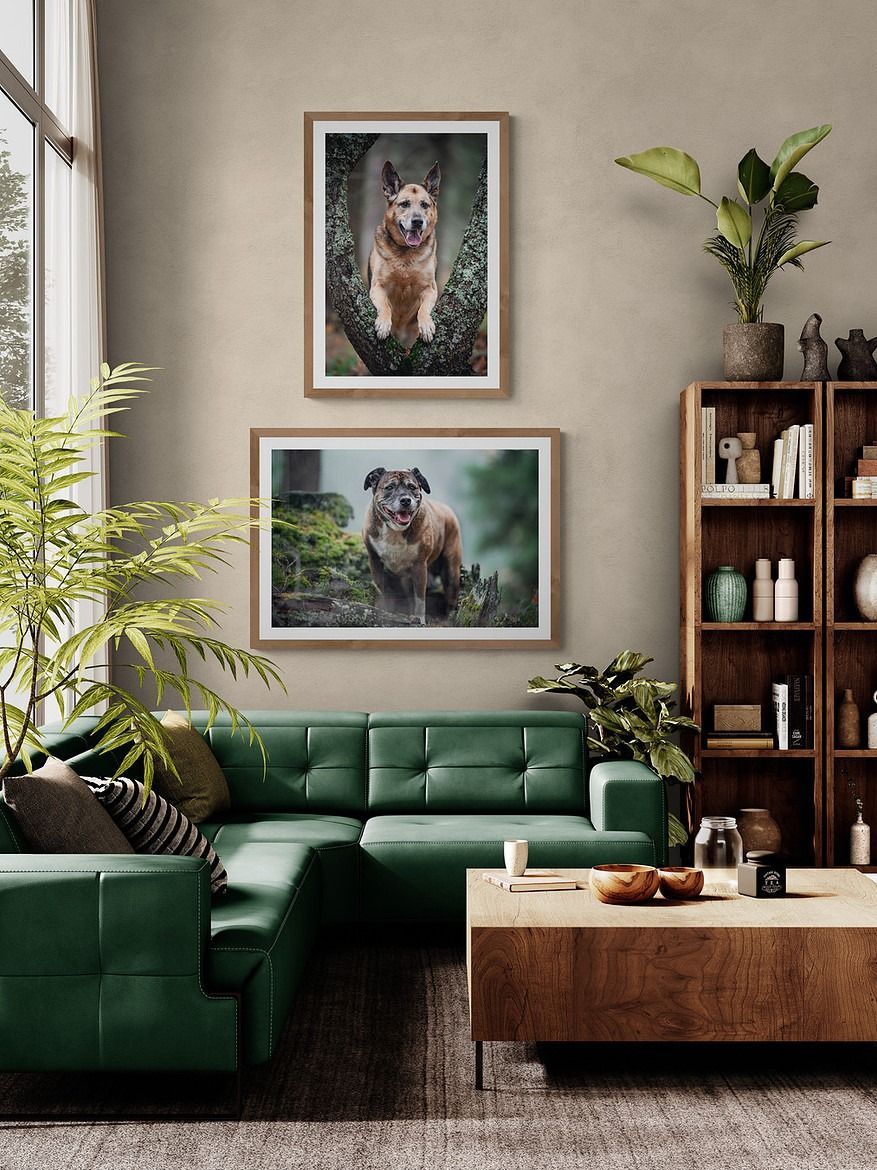 Living room with green sofa, wooden bookshelf, and framed dog photos on the wall.