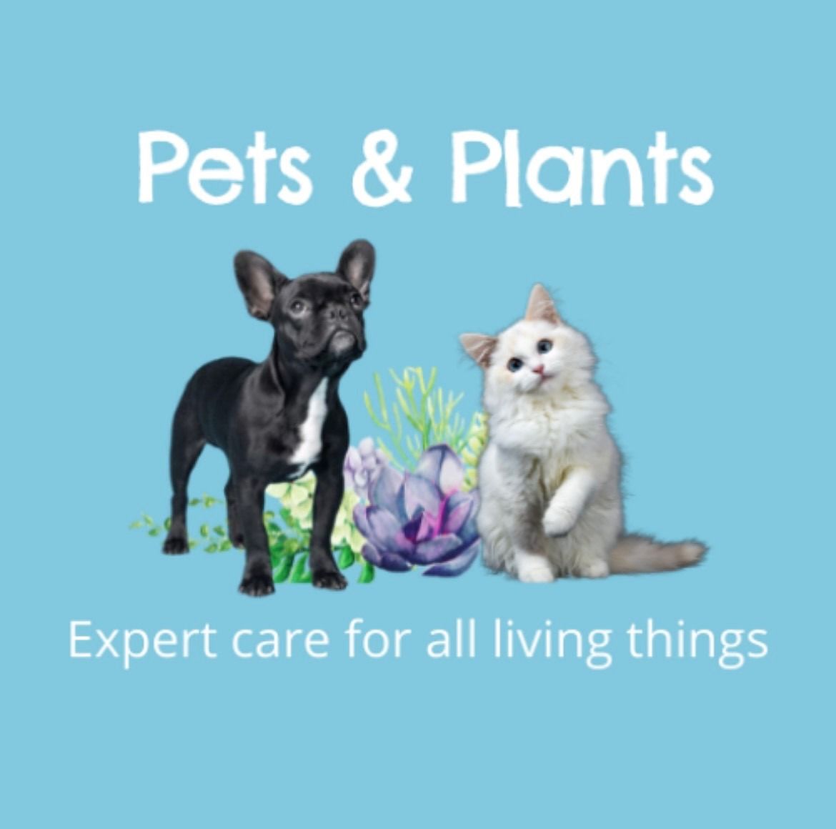 Black dog and white cat with plants, “Pets & Plants” text, “Expert care for all living things.”