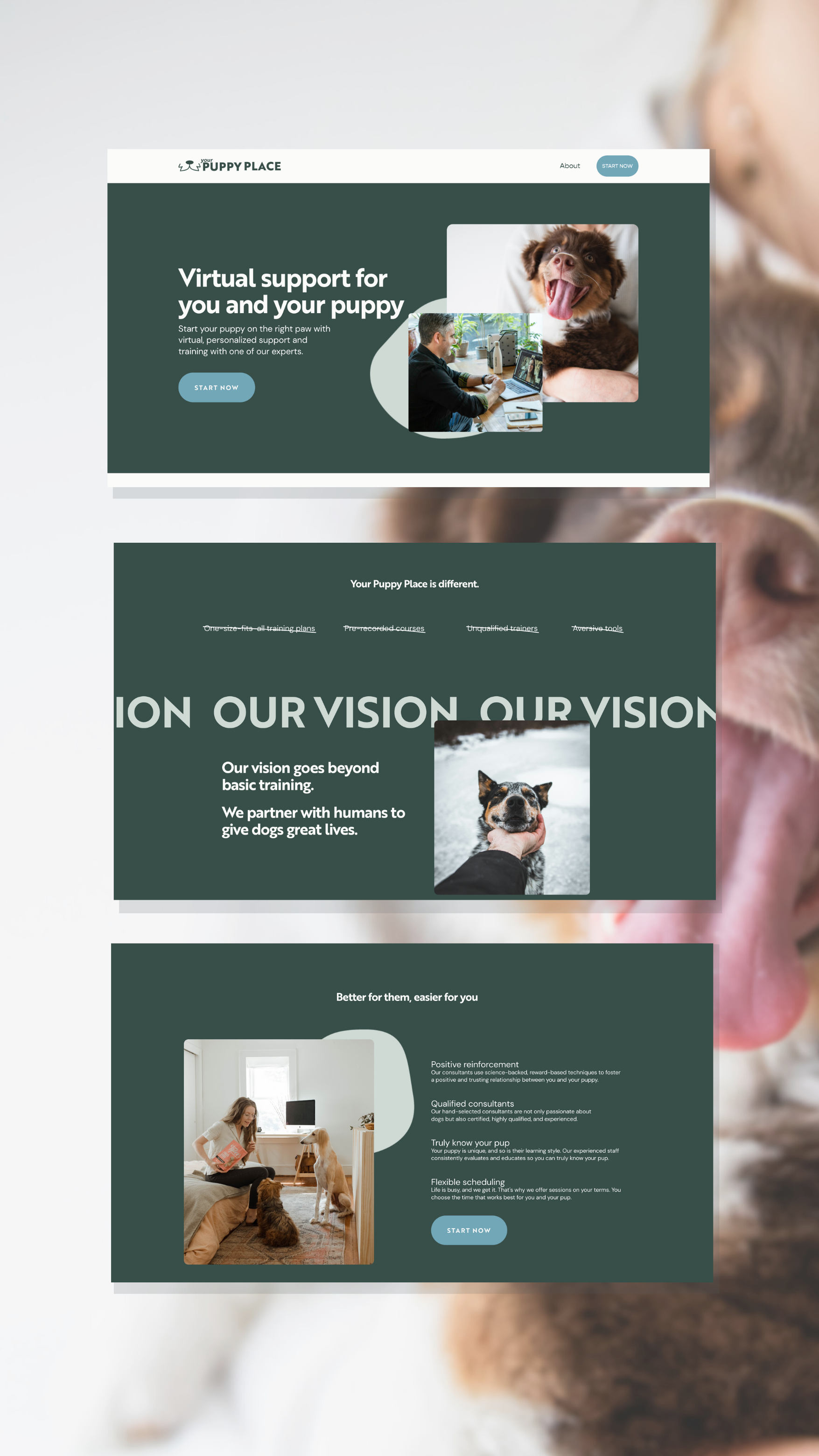 portfolio example: dog trainer