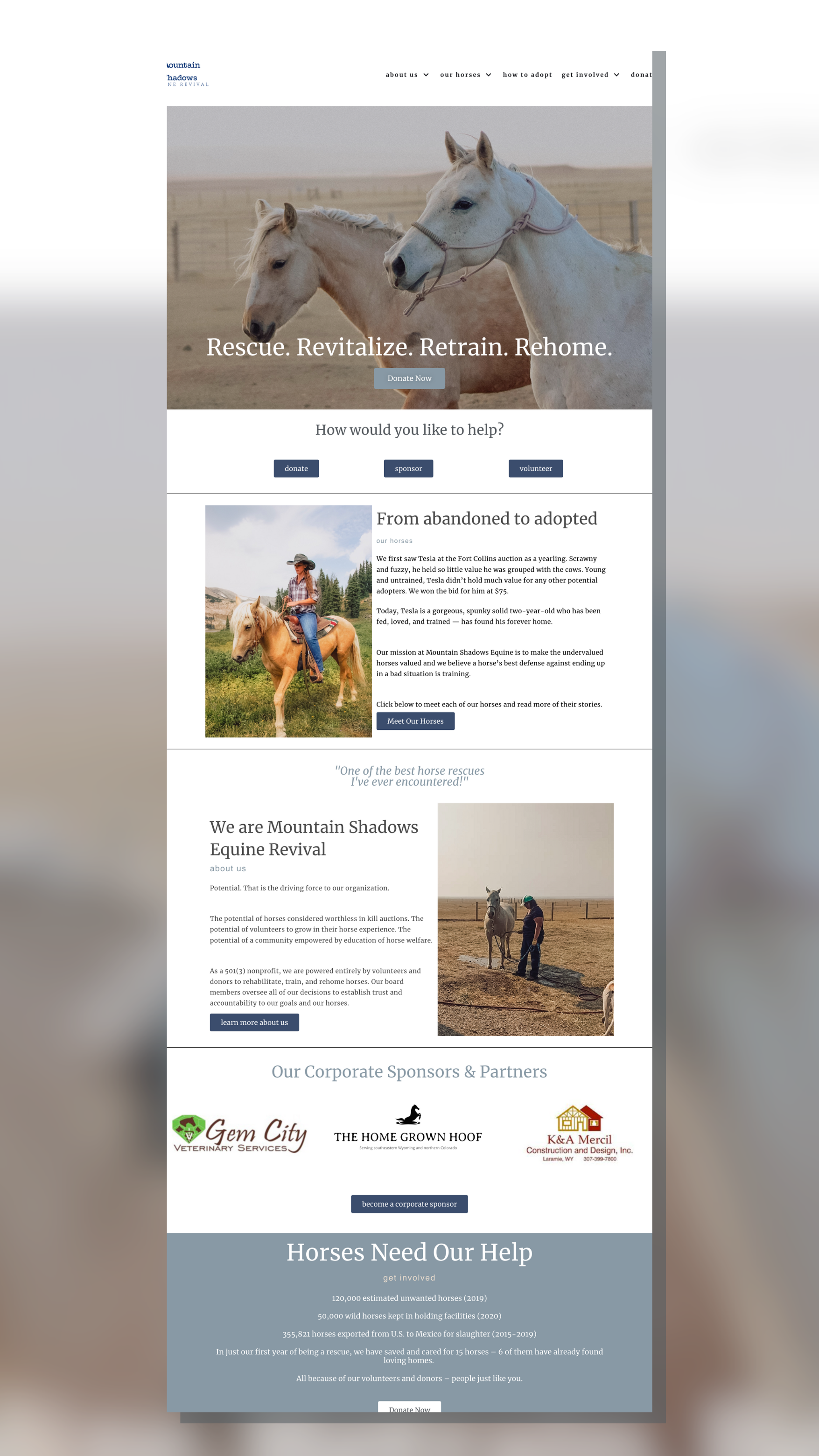 portfolio example: nonprofit