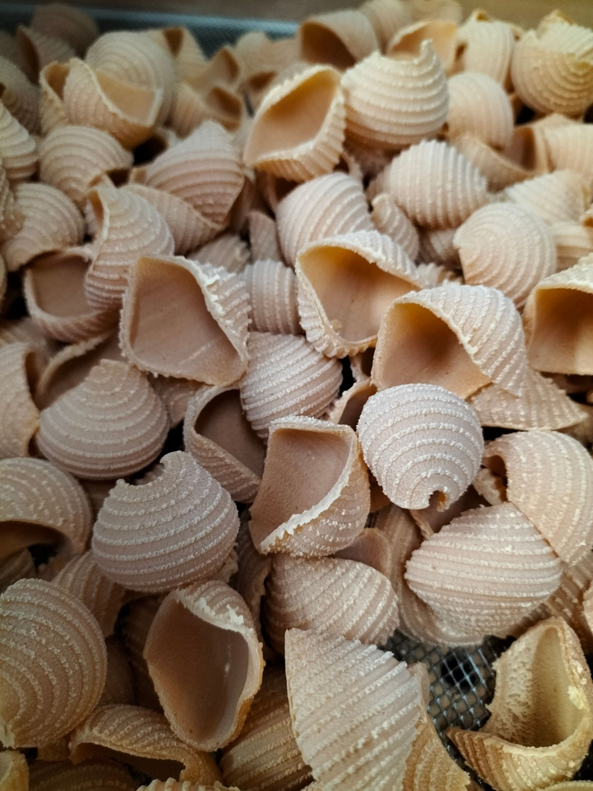 pasta conchiglie fatta a mano