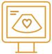 Echocardiography