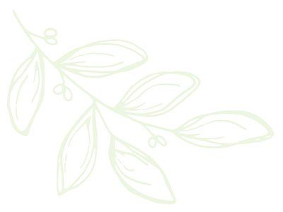 leaves background image