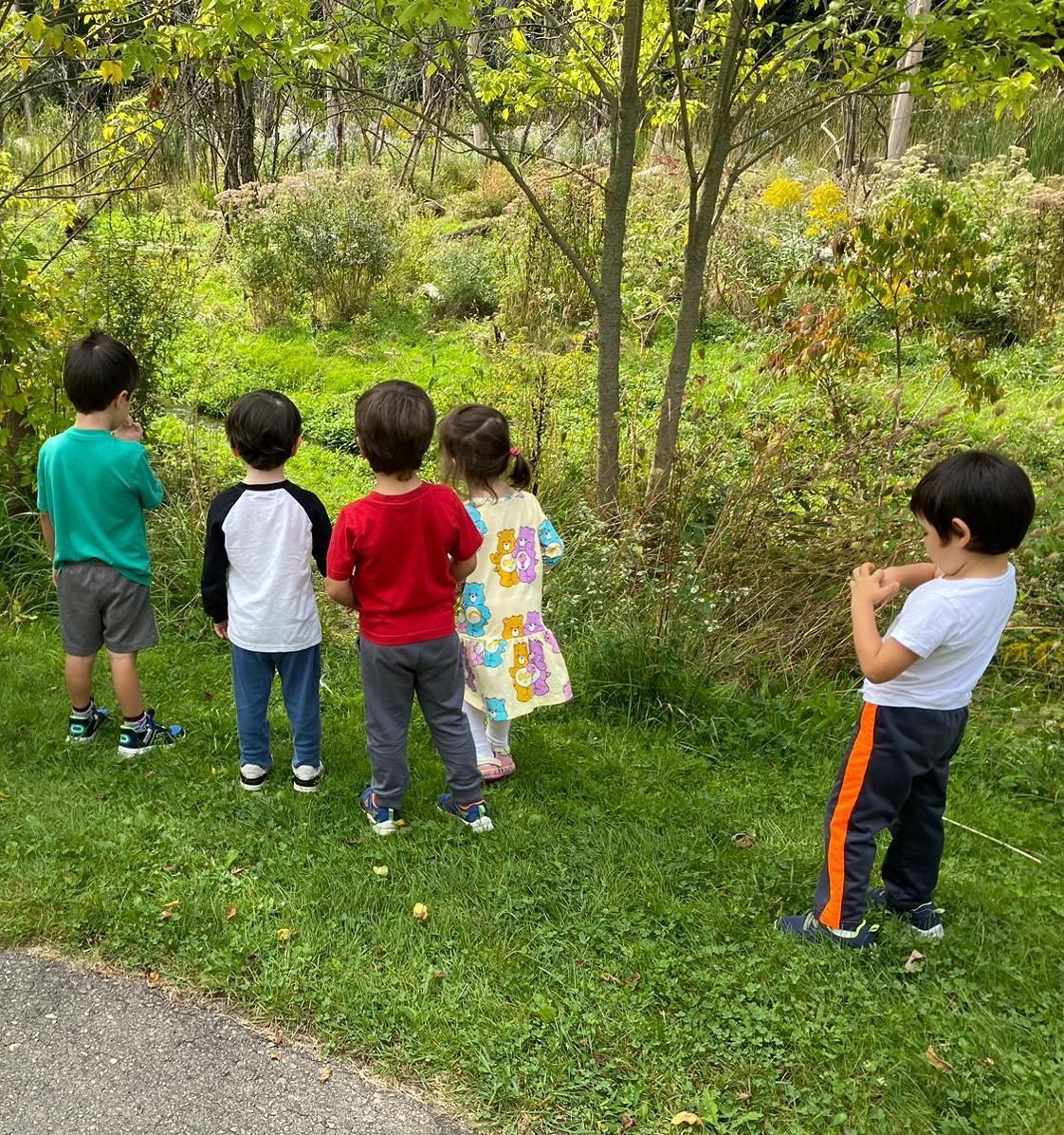 A group of children are standing in the grass looking at trees.