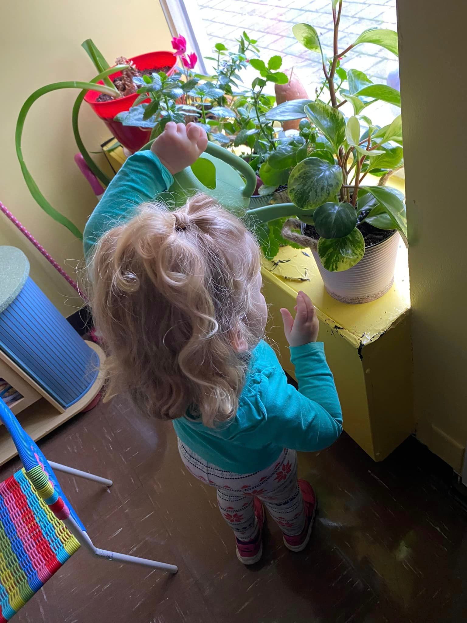 A little girl is watering a potted plant with a watering can.