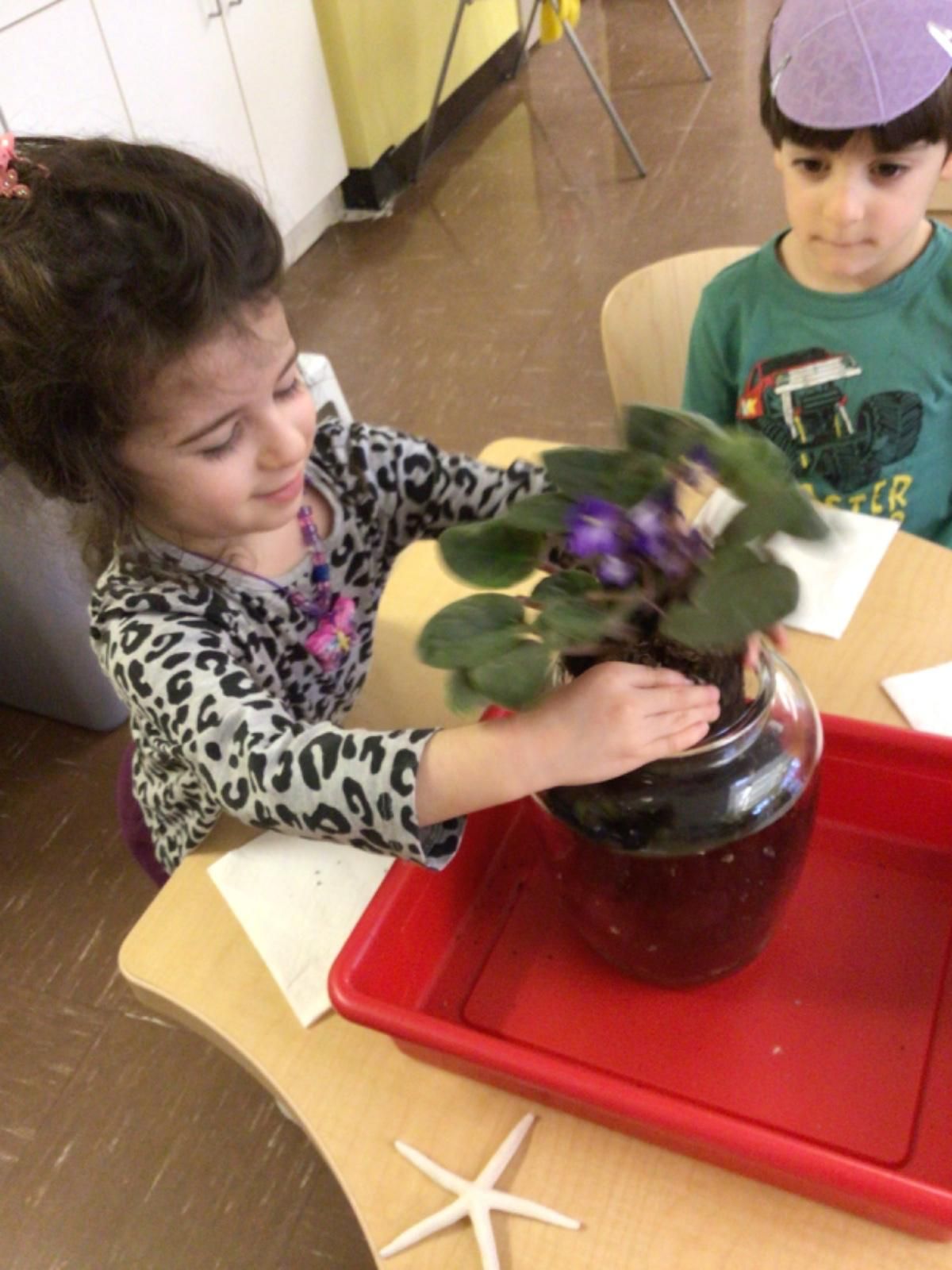 A little girl is putting purple flowers in a vase