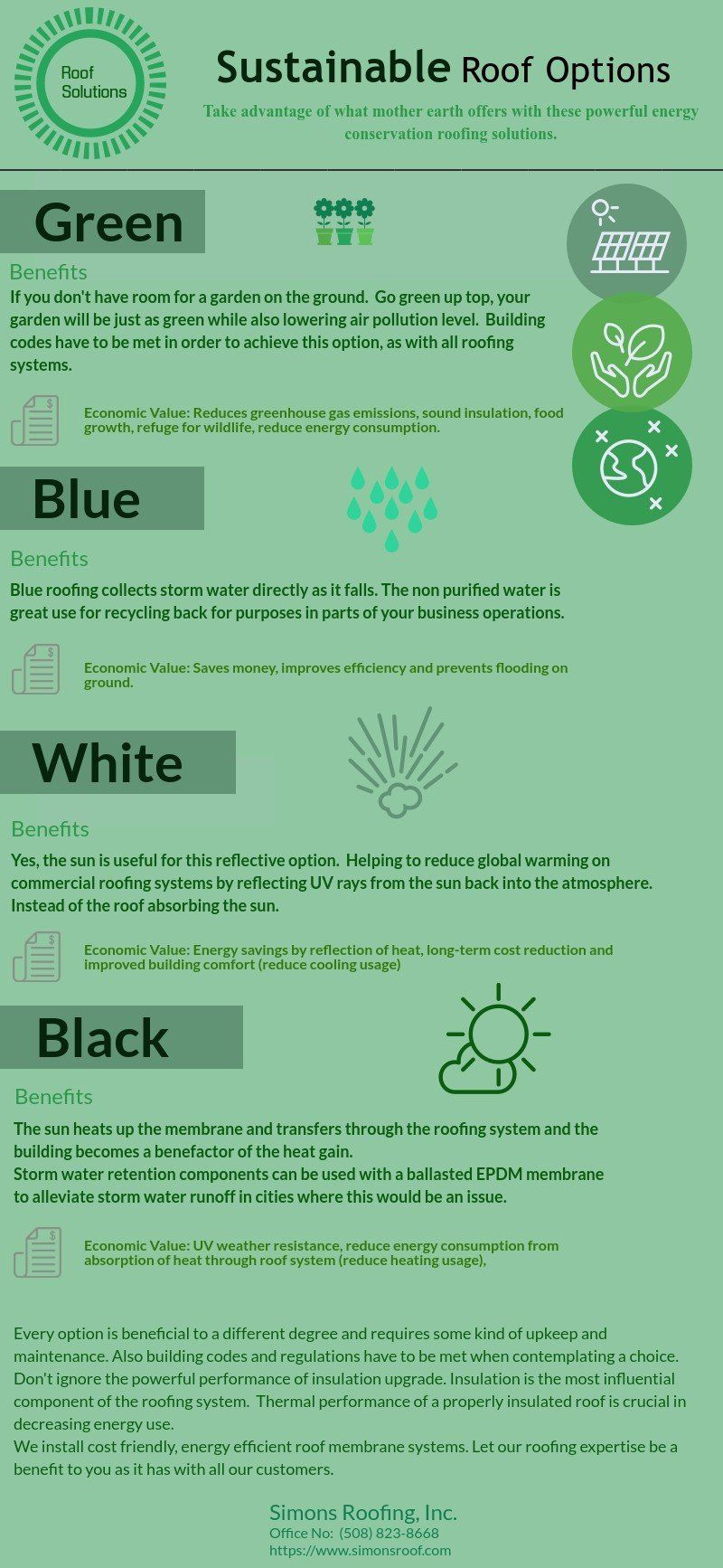 Sustainable Commercial Roof Options Infographic