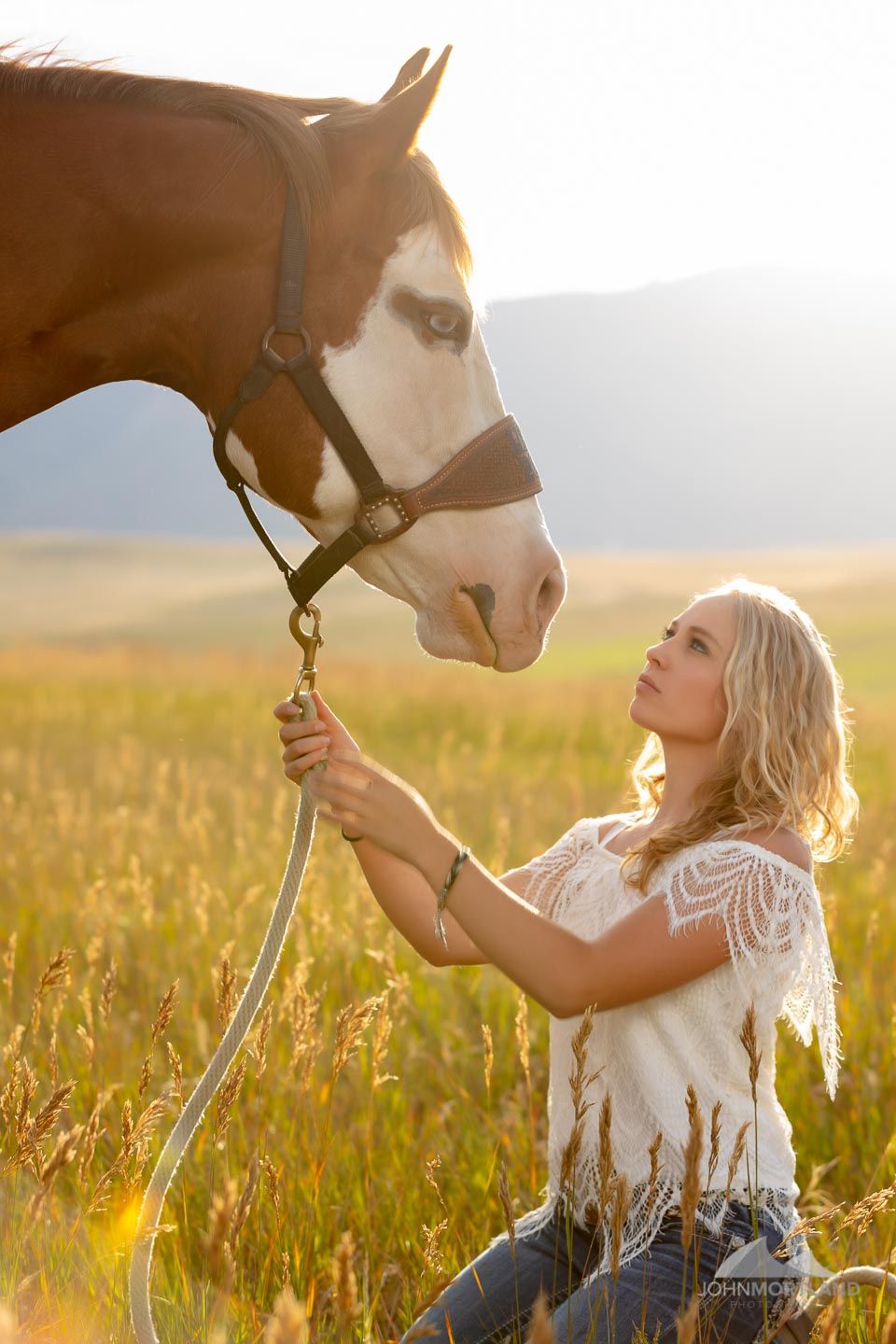 Horse Portraits Colorado Springs