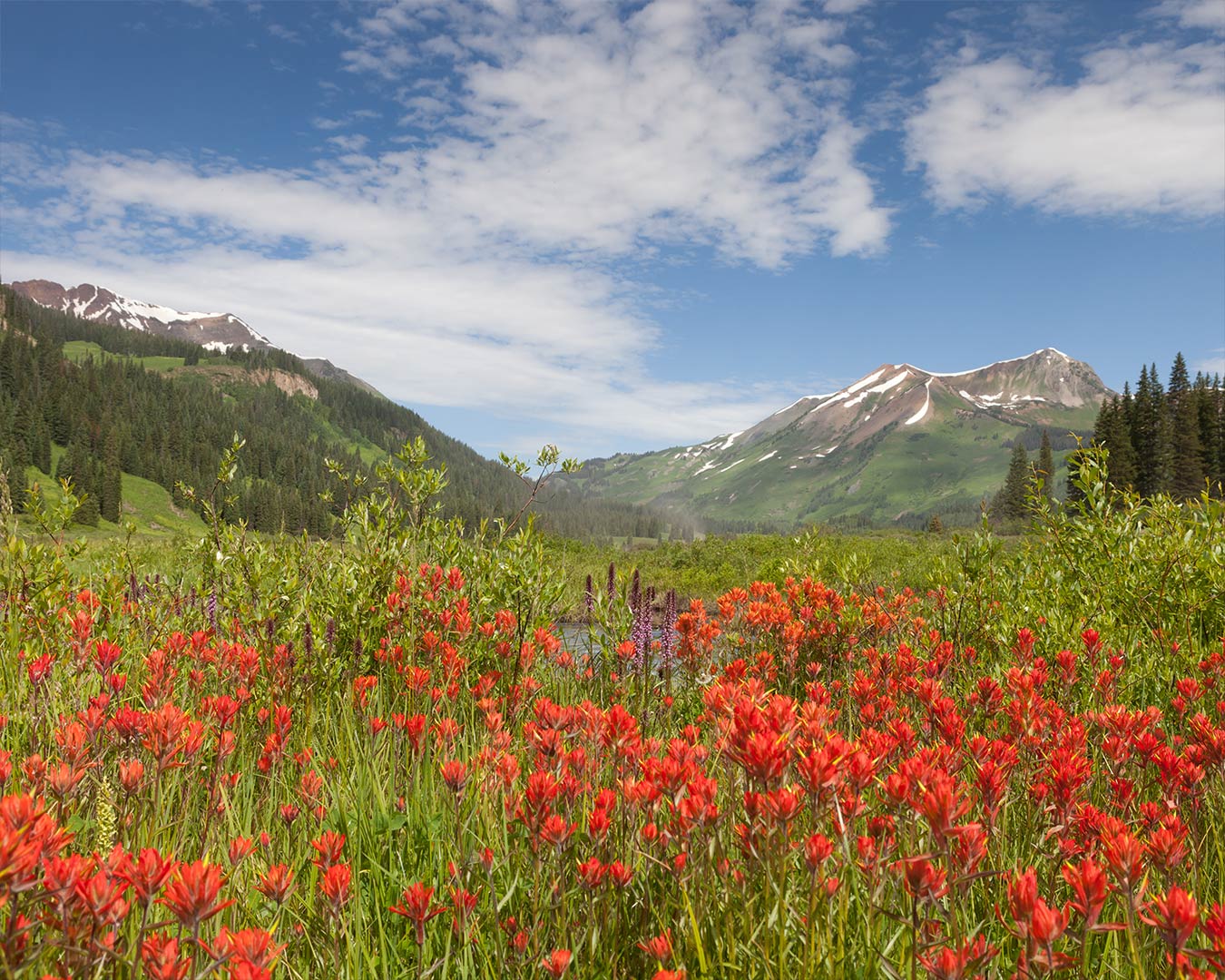 Travel & Landscape Images