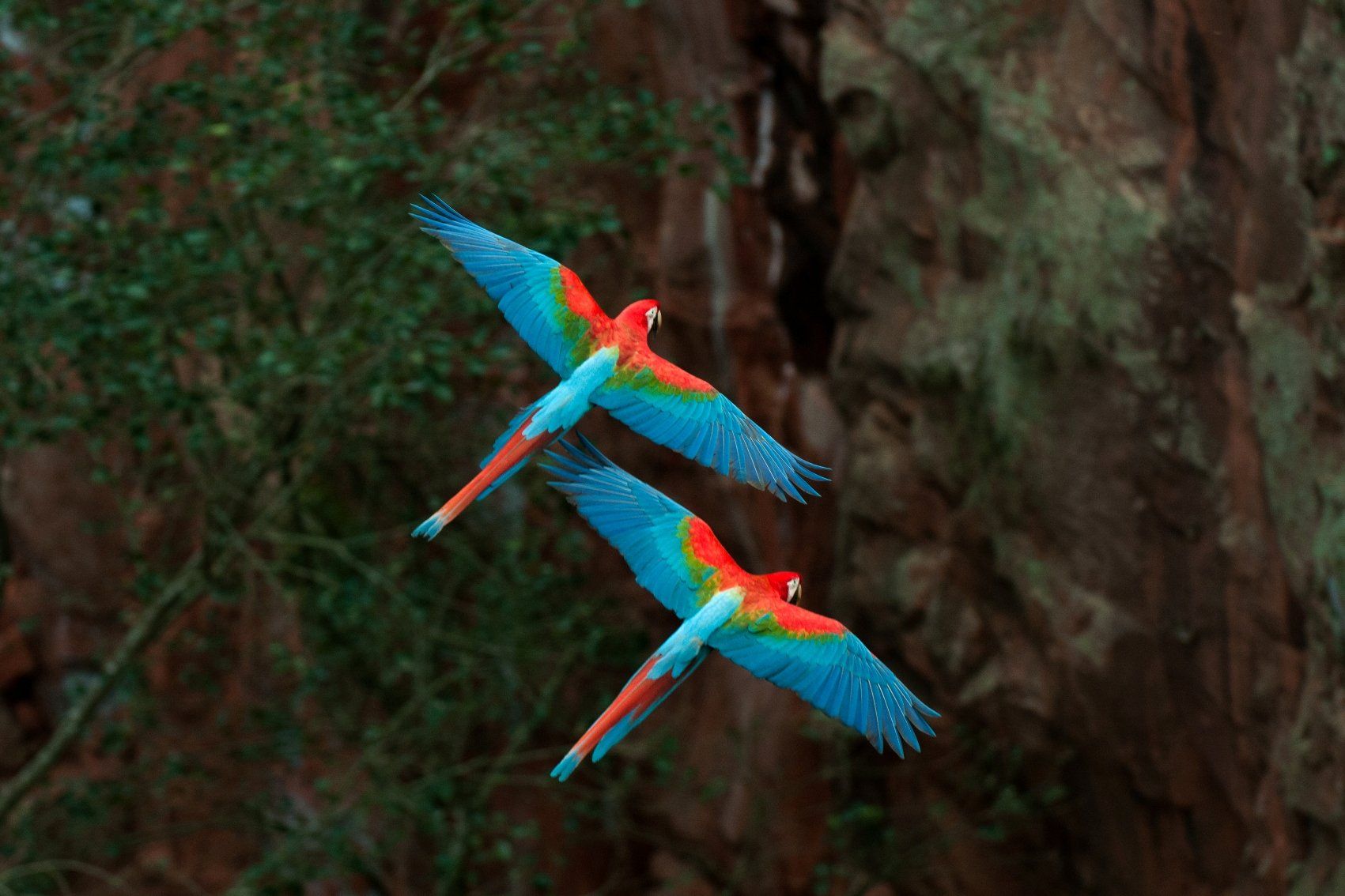 Buraco das Araras Bonito MS