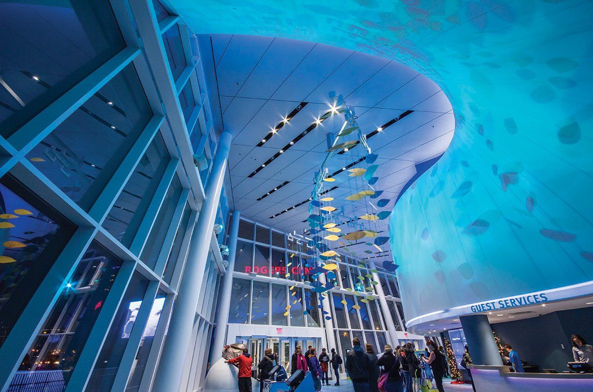 Ripley's Aquarium do Canadá, em Toronto Aquario