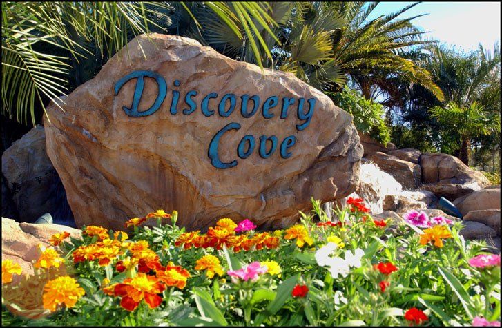 Discovery Cove Orlando