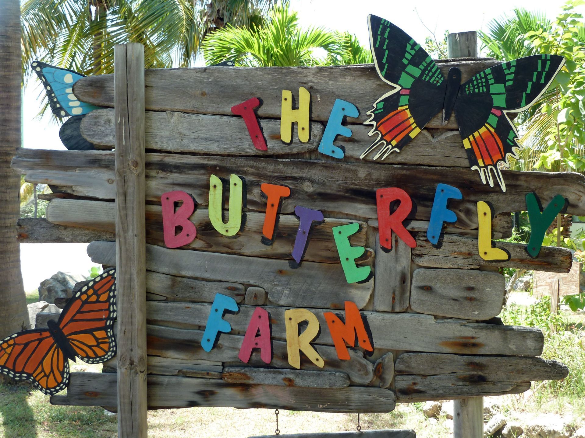 The Butterfly Farm