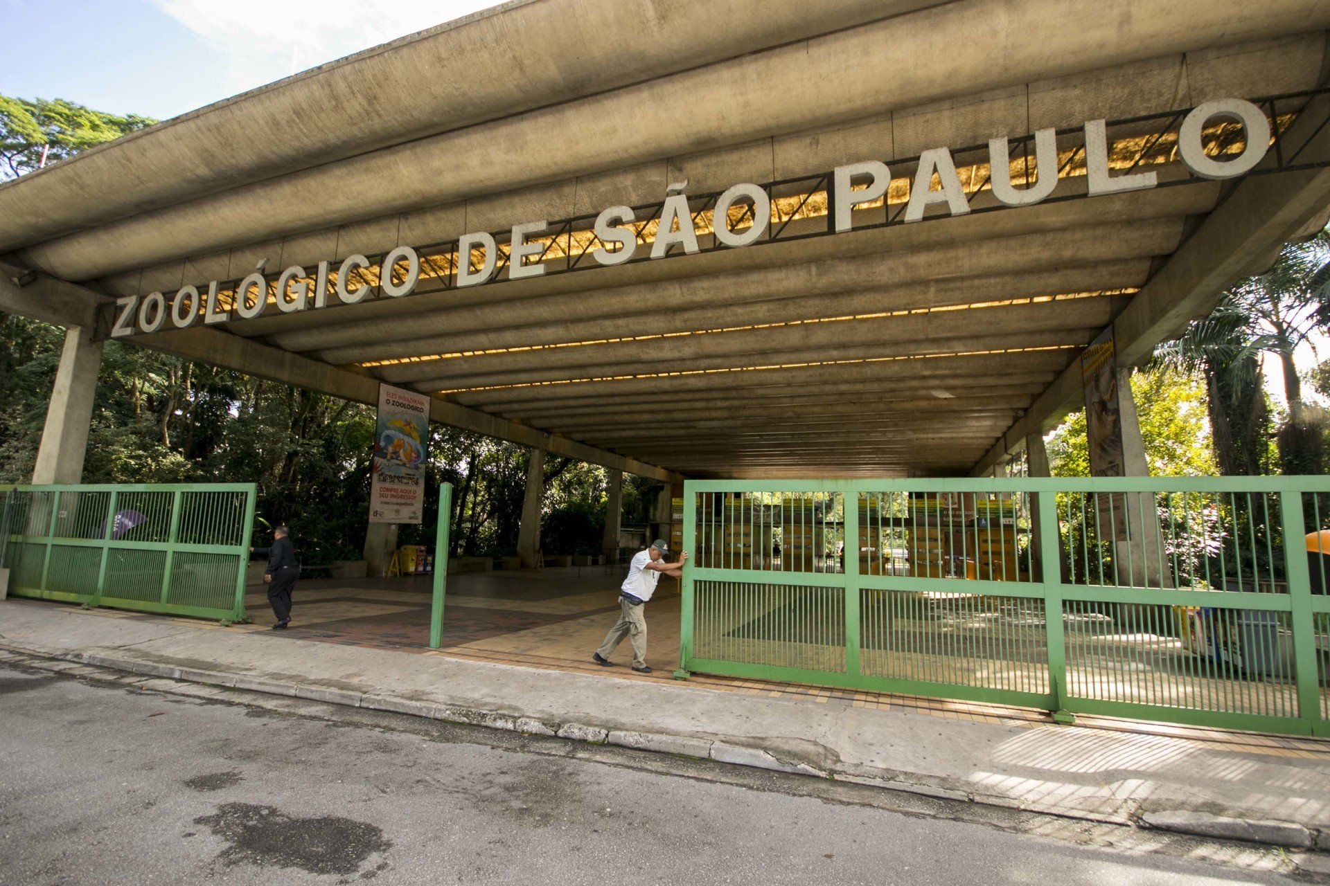 Zoologico de São Paulo