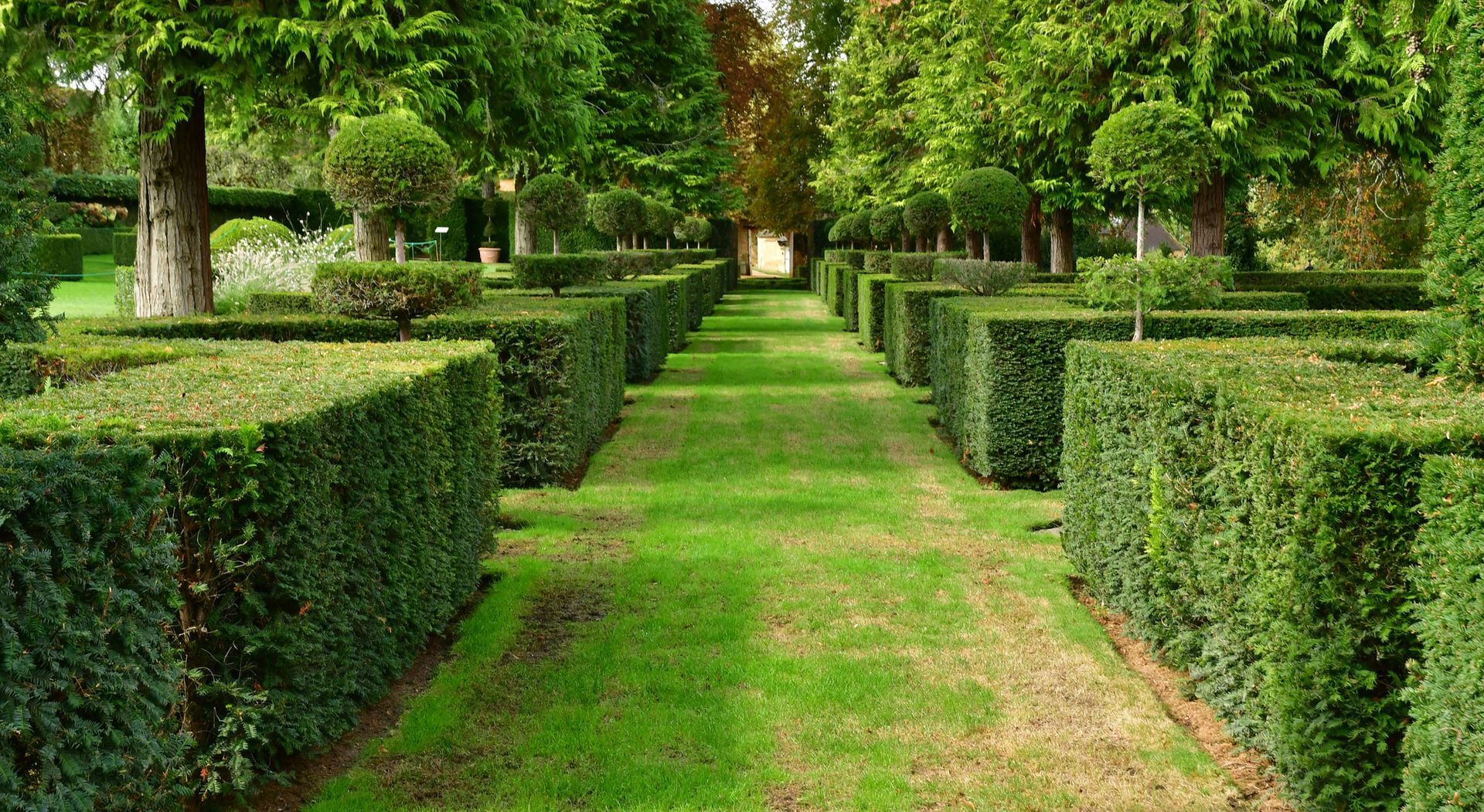 Sentiero ben curato, fiancheggiato da siepi e alberi potati, che conduce a un'apertura lontana.