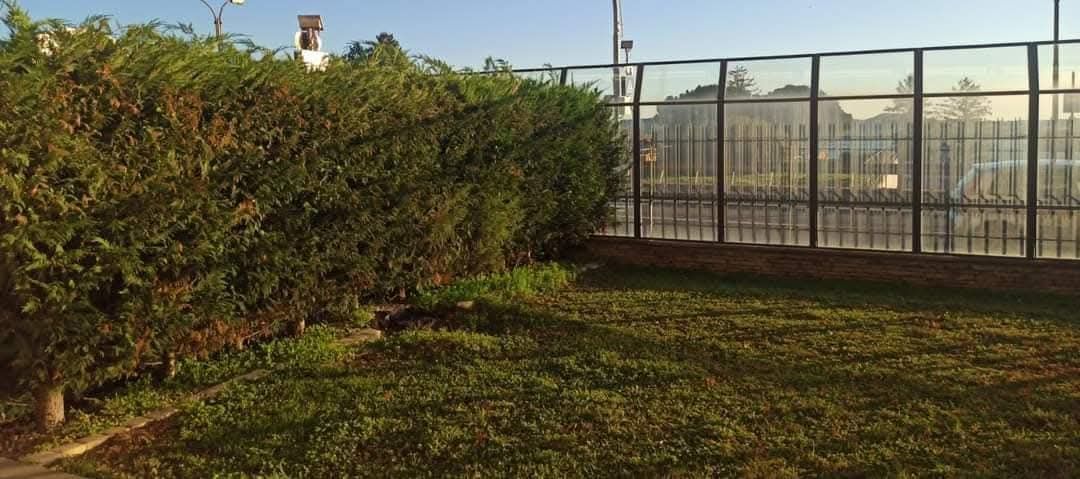 Siepe verde accanto a una recinzione in vetro e metallo sull'erba. Giornata di sole splendente.