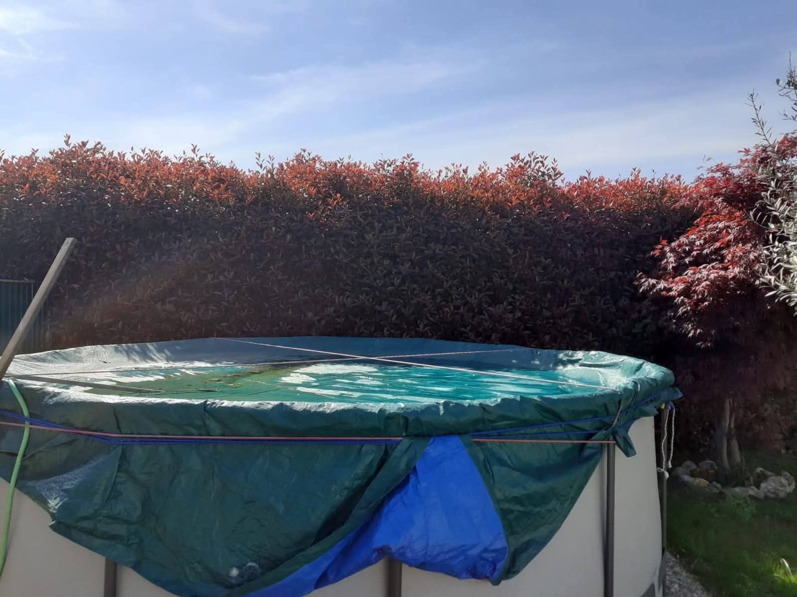Una piscina rotonda fuori terra con una copertura in telo verde e blu, sotto un cielo con fogliame rosso sullo sfondo.