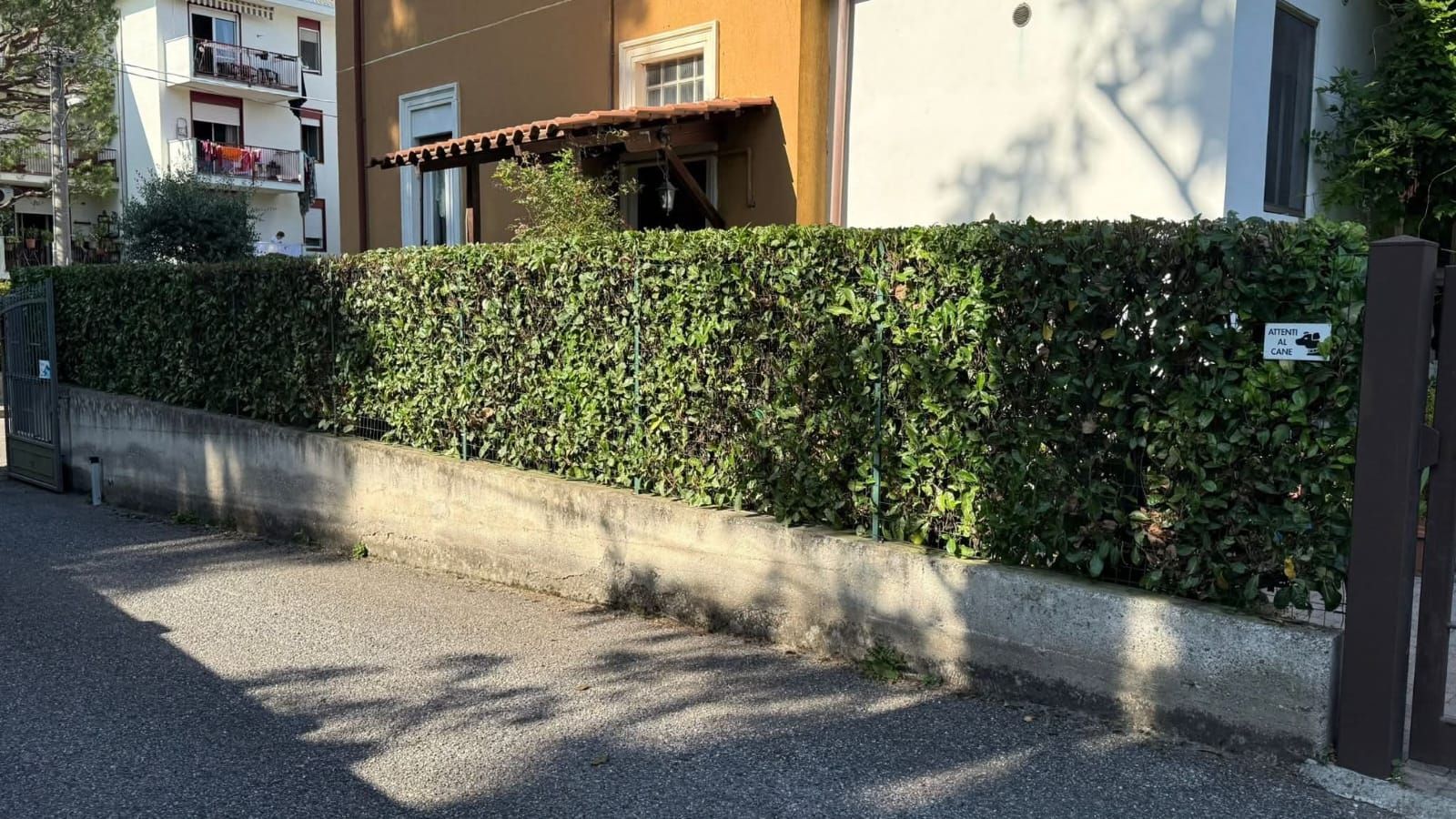 Una siepe verde lungo un muro di cemento di fronte a una casa, con un vialetto di ghiaia.