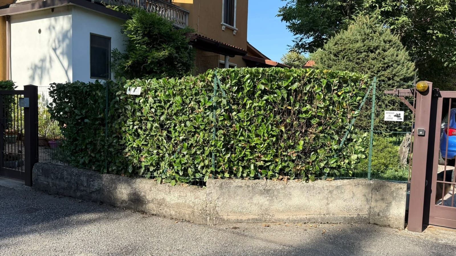 Una siepe verde costeggia un muro di cemento davanti a una casa. Un cancello marrone sulla destra.