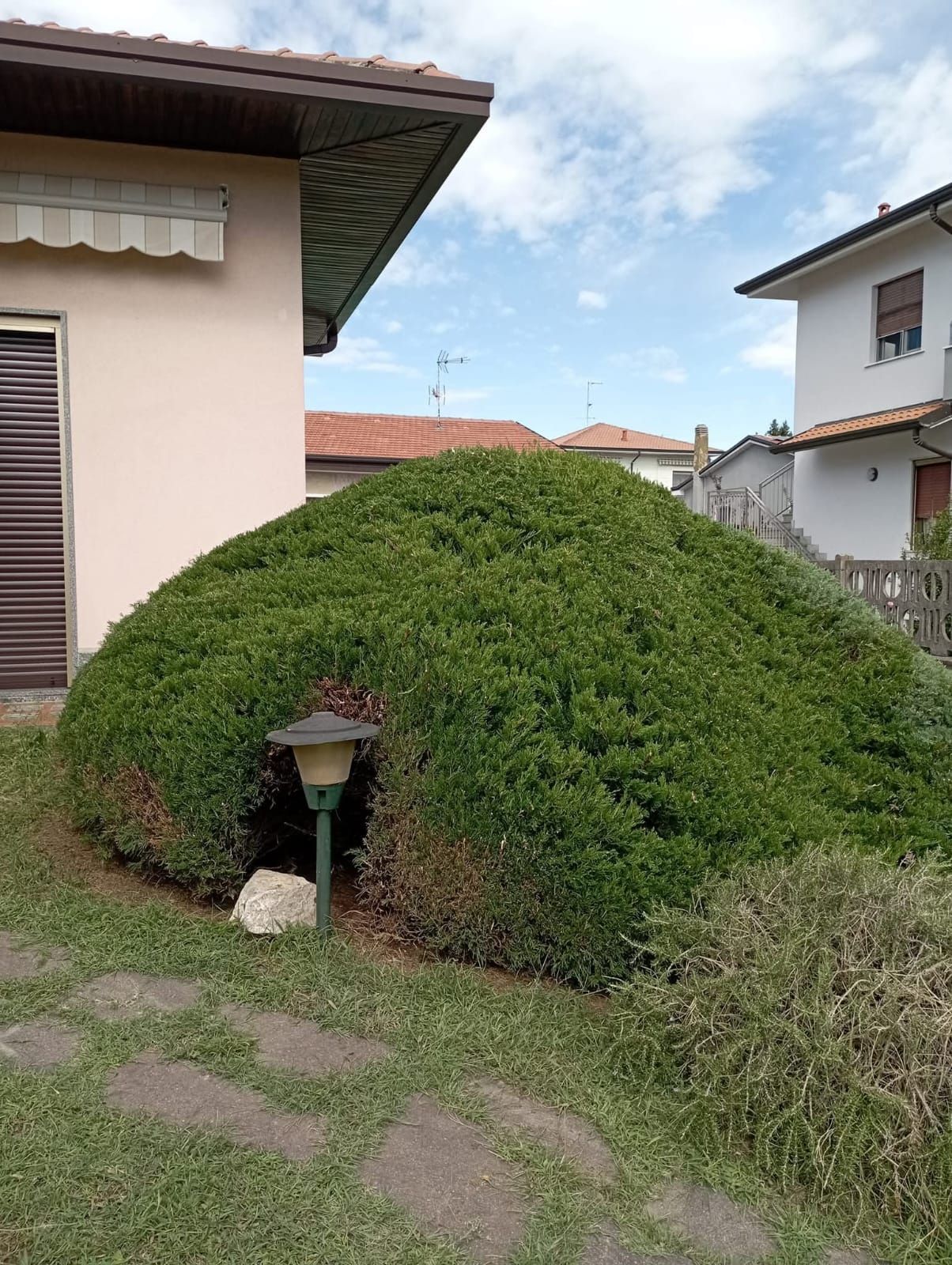 Un grande cespuglio verde e arrotondato con un'apertura, accanto a un edificio e a un prato. Di fronte ci sono una lampada e una pietra.