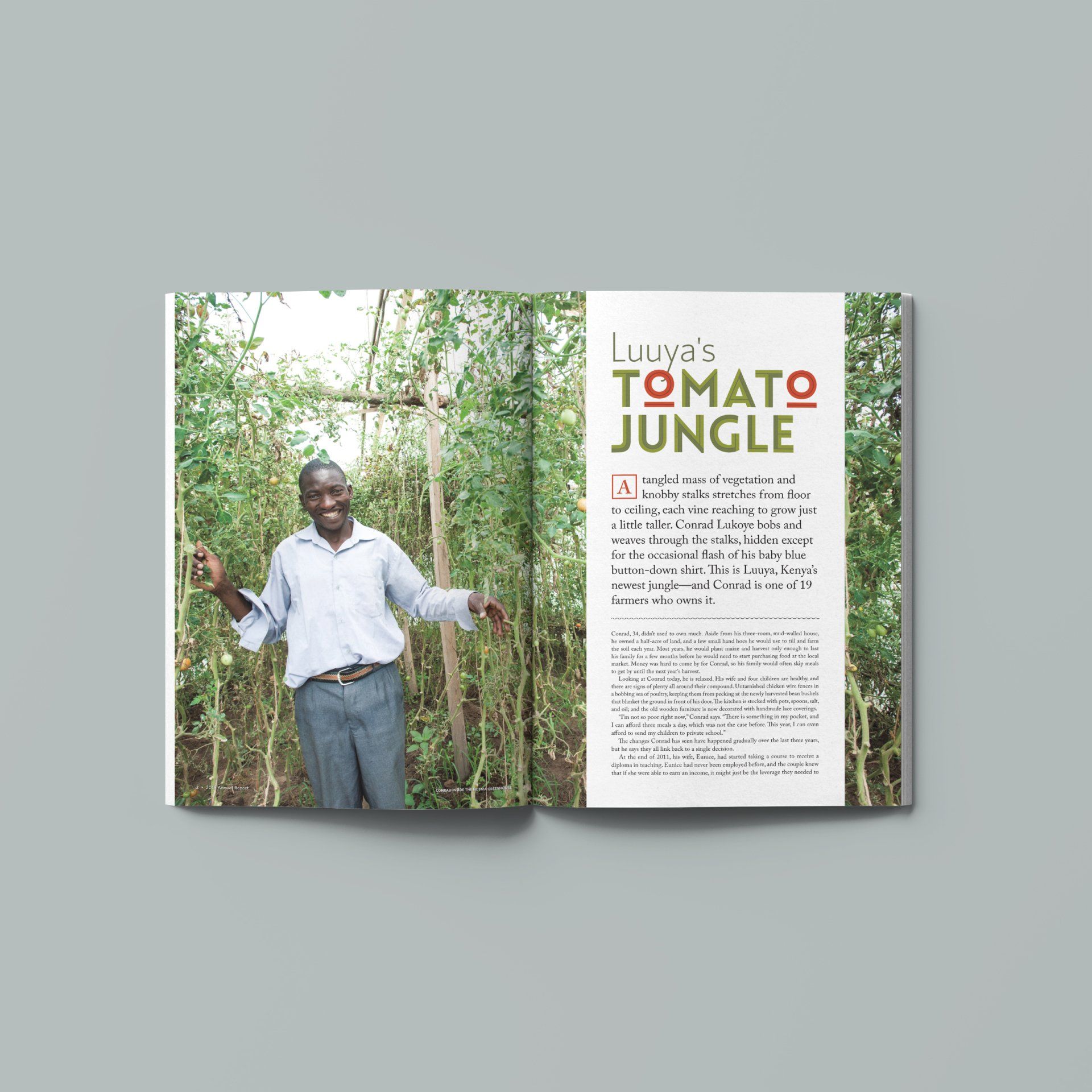 Annual Report Designs