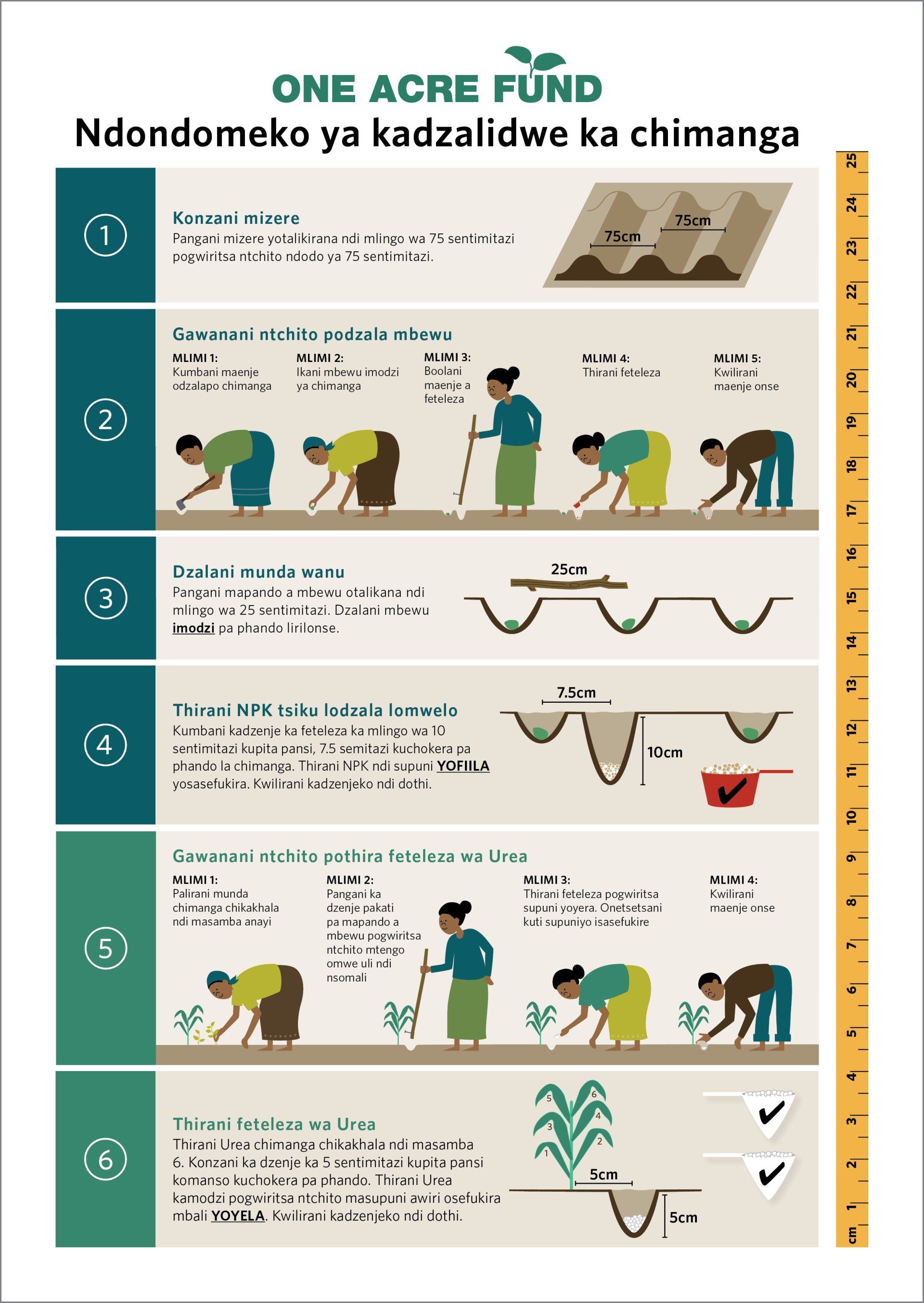 One Pager Design Sample