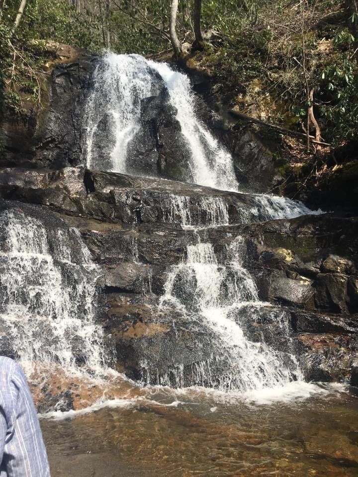 A person is standing in front of a waterfall in the woods.