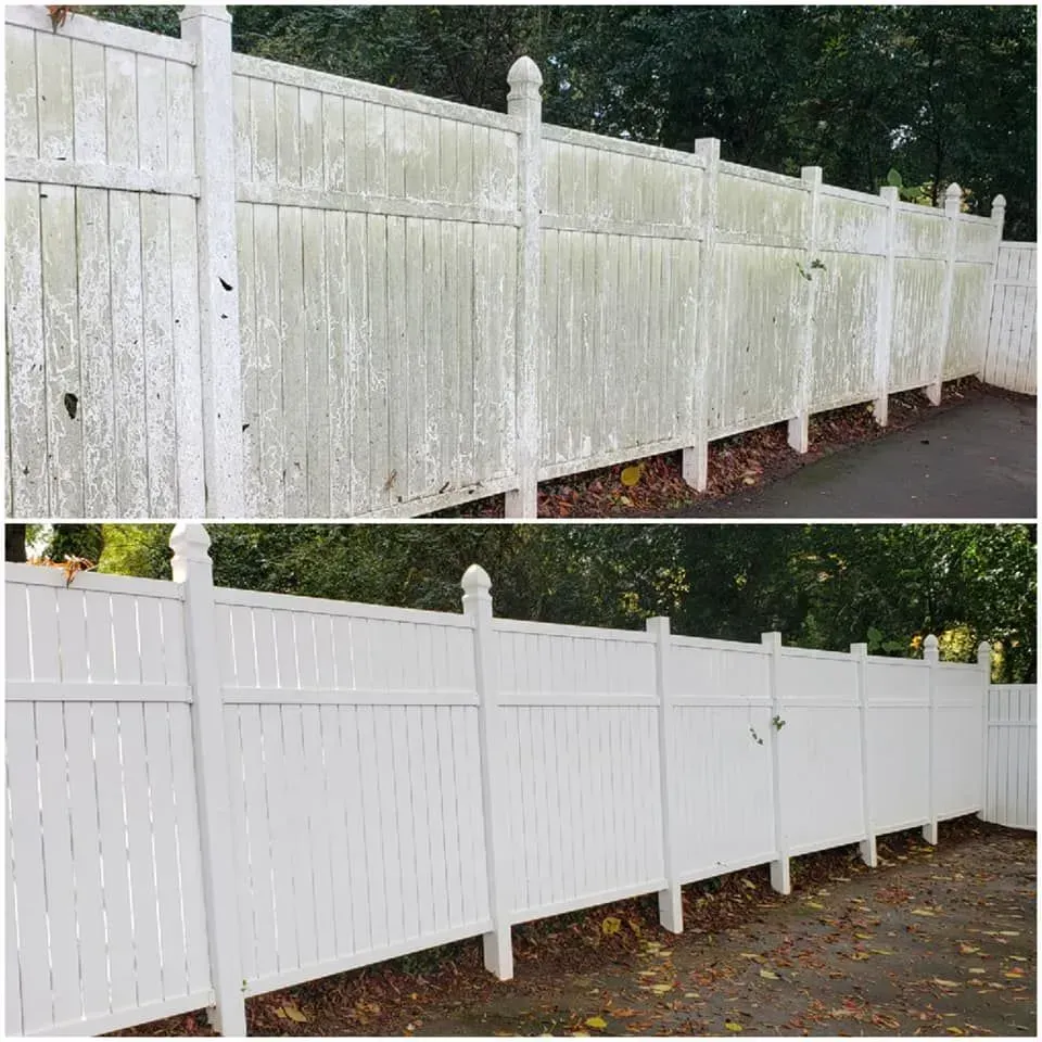 Comparison of a dirty, mossy white fence before cleaning and a clean, white fence after cleaning.