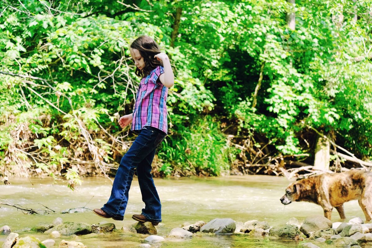 A man and a dog are crossing a river.