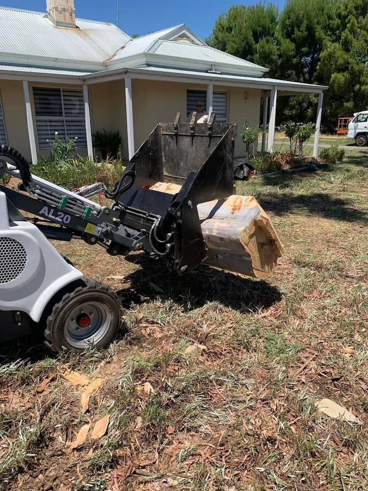 Mini-loader Carrying a Large Rock on a Grassy Property Next to a House — Riverina Tree Fellas in Narrandera, NSW