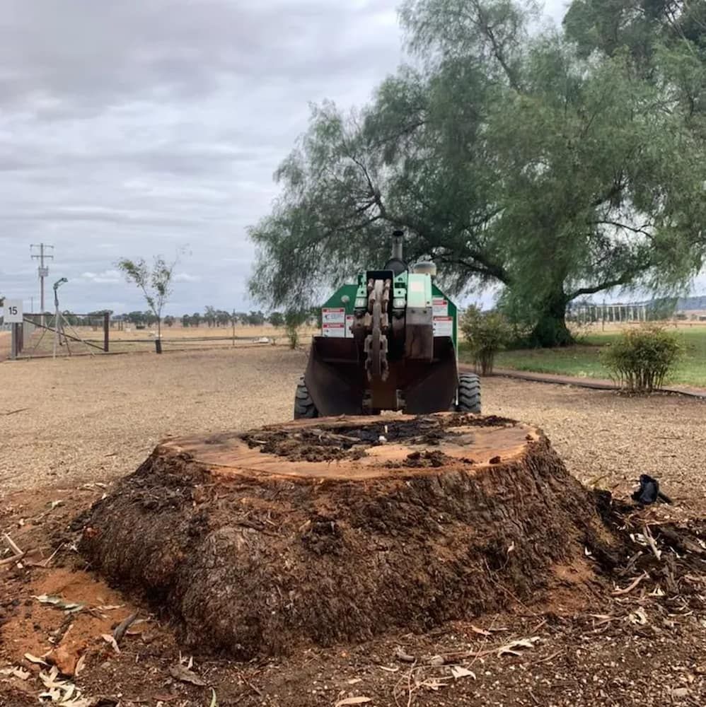 A Tree Stump With a Grinder, Likely Removing It, in an Open Field — Riverina Tree Fellas in Cootamundra, NSW