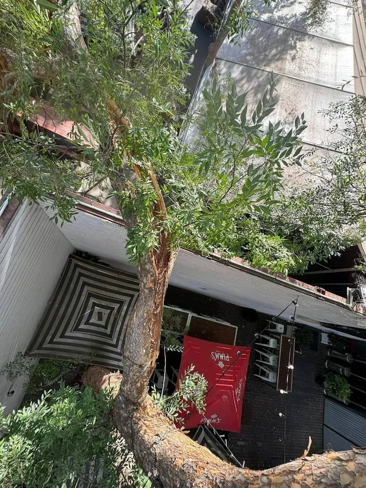 A Tree Limb Lies Over a House With a Red Tapestry — Riverina Tree Fellas in Temora, NSW