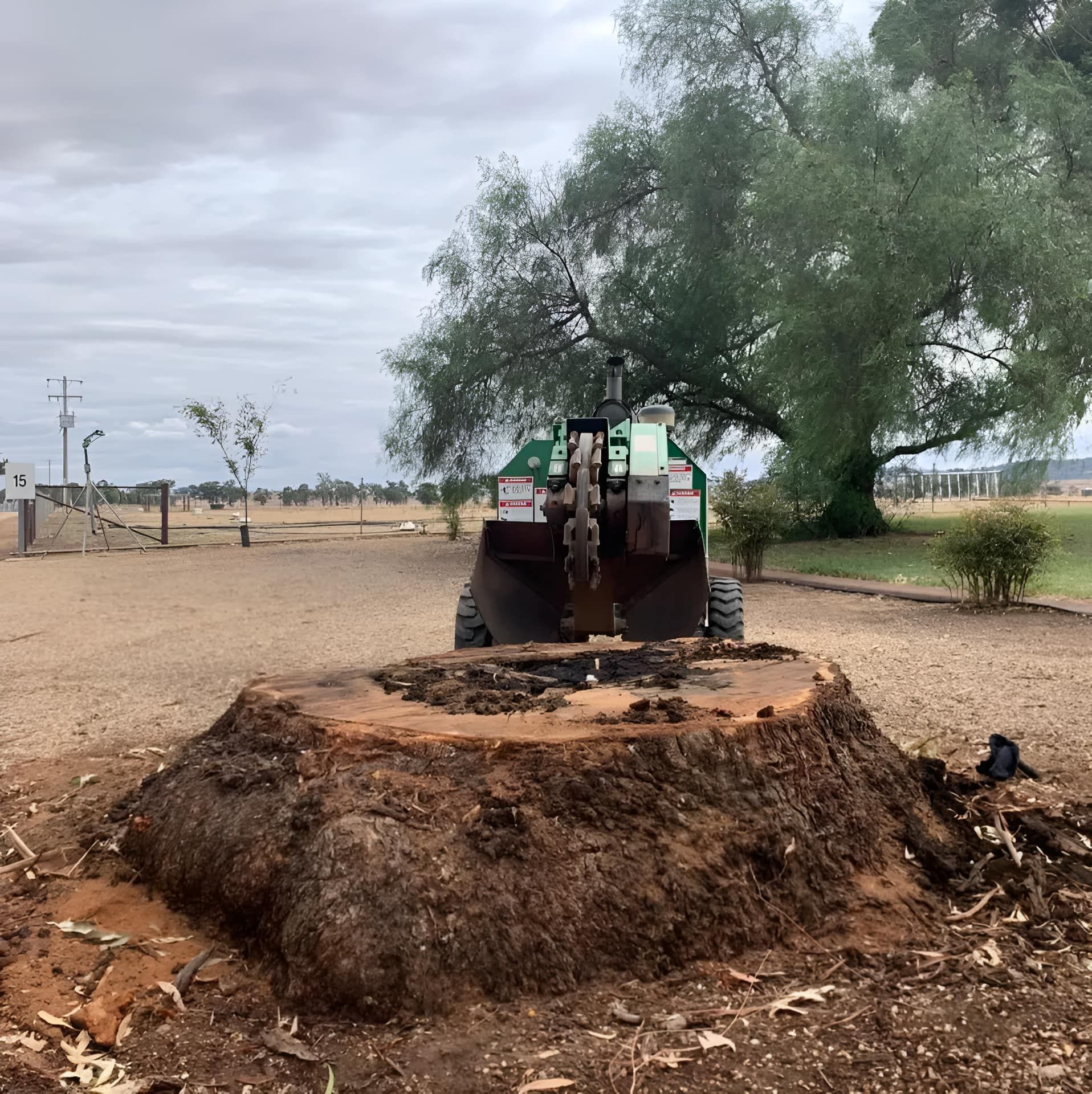 A large tree stump with a small construction vehicle in front of it, under a cloudy sky. — Riverina Tree Fellas in Narrandera, NSW
