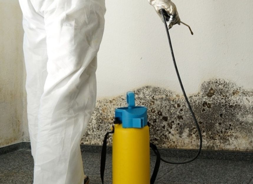 A person spraying a wall with a yellow spray bottle