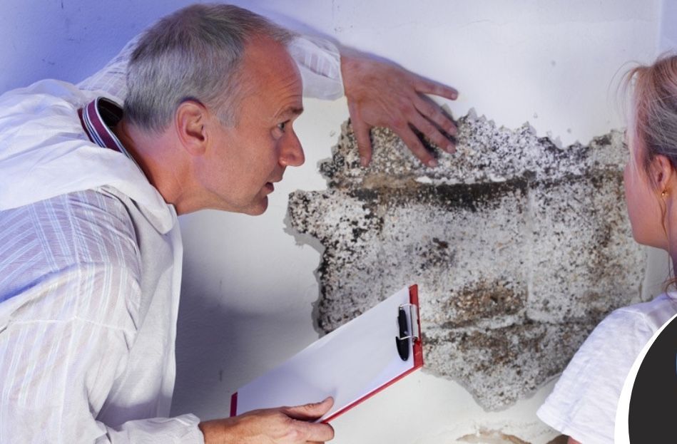 A man and a woman are looking at mold on a wall.