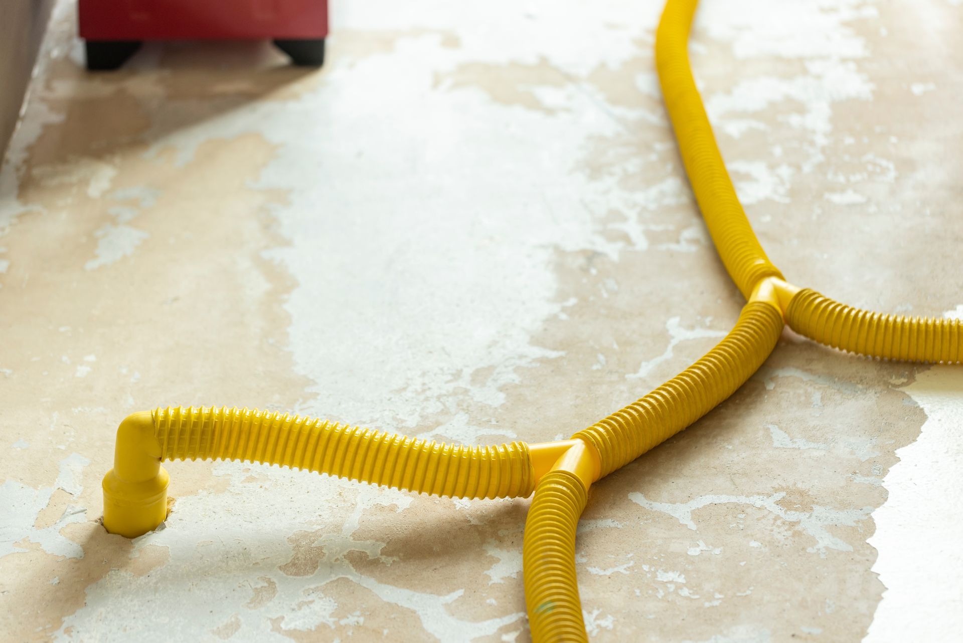 A yellow hose is laying on a wet floor.