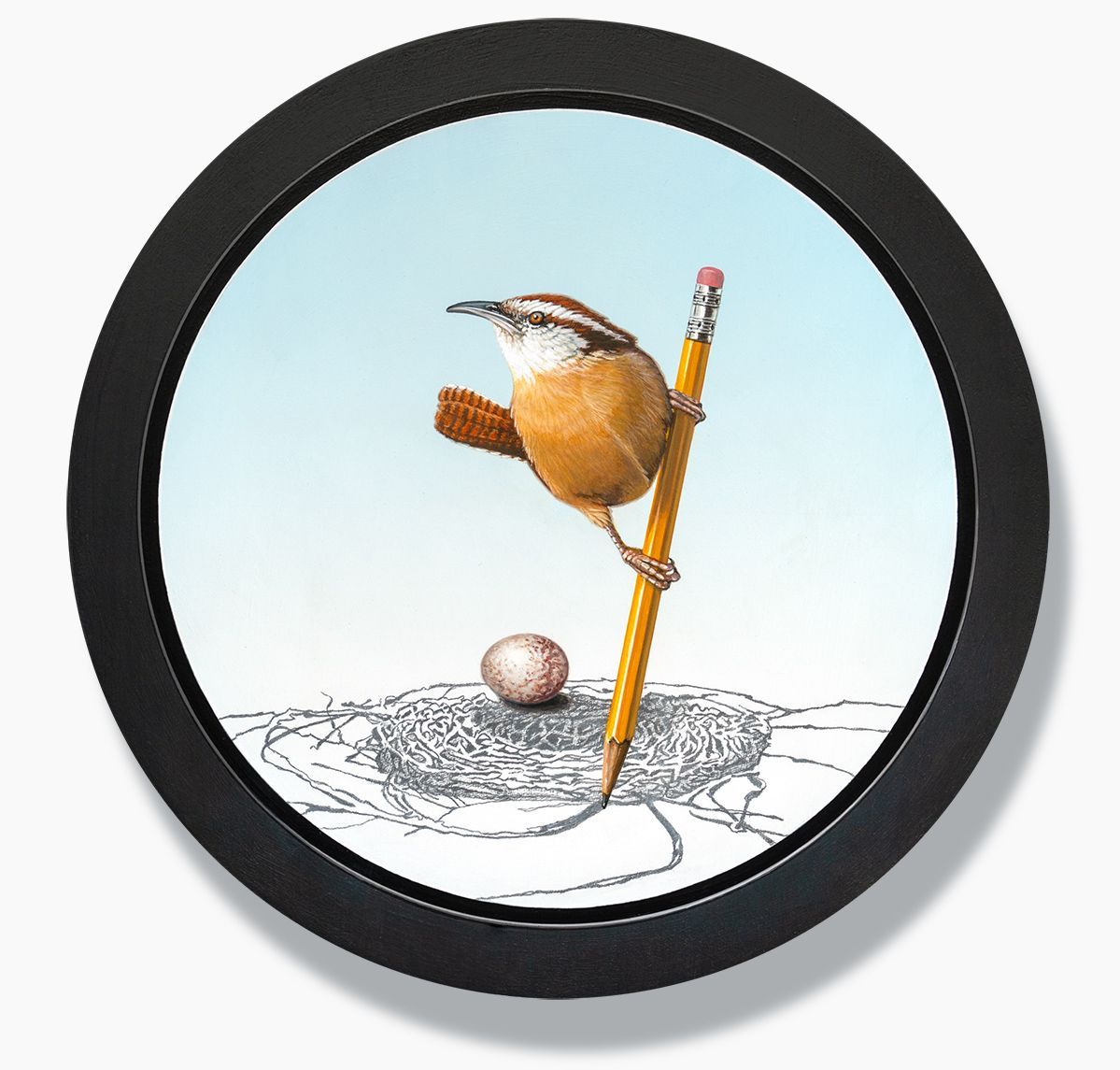 Painting of Carolina Wren drawing nest with pencil.