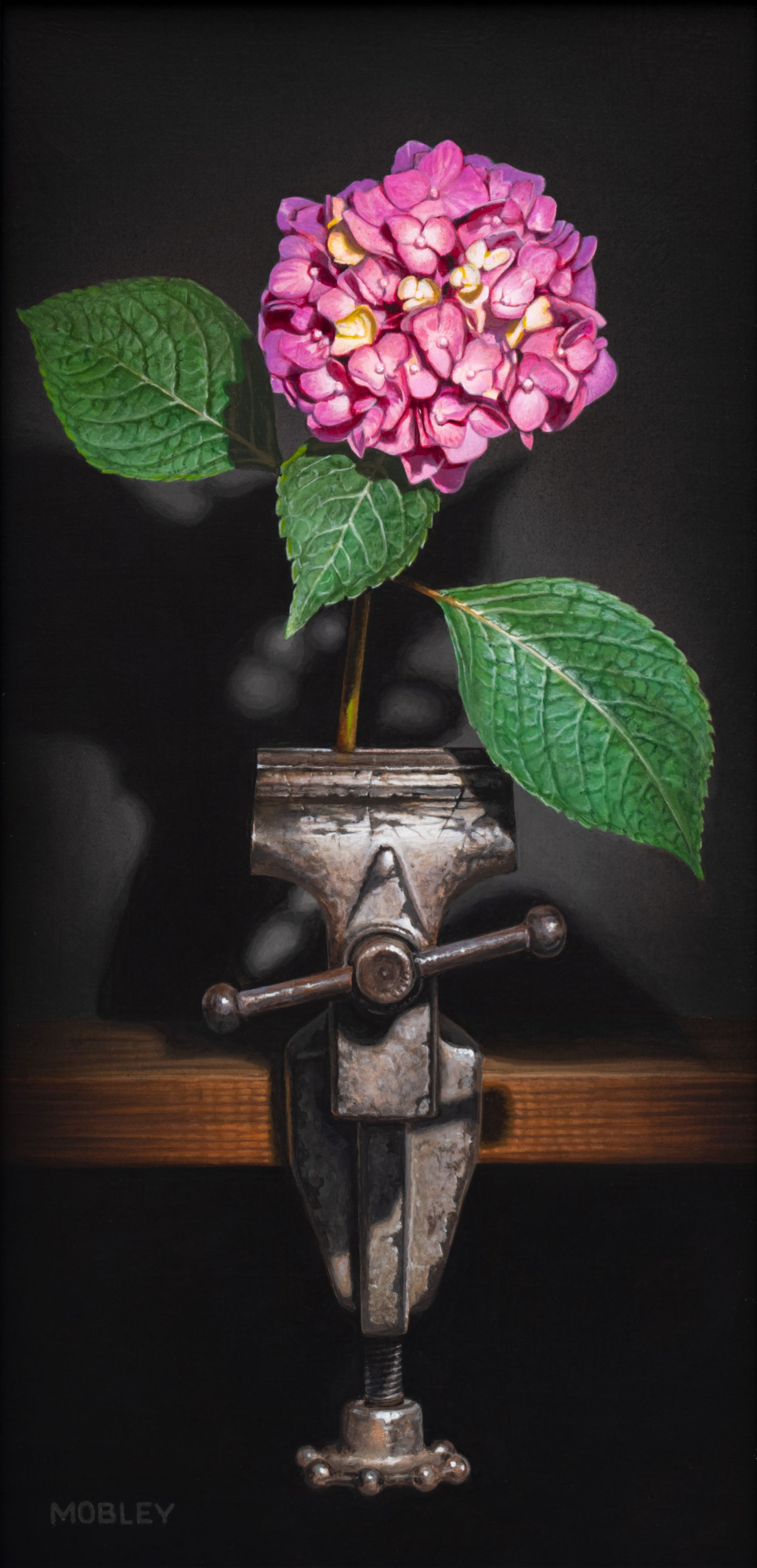 Realism painting of pink hydrangea stem in antique vise on black background.