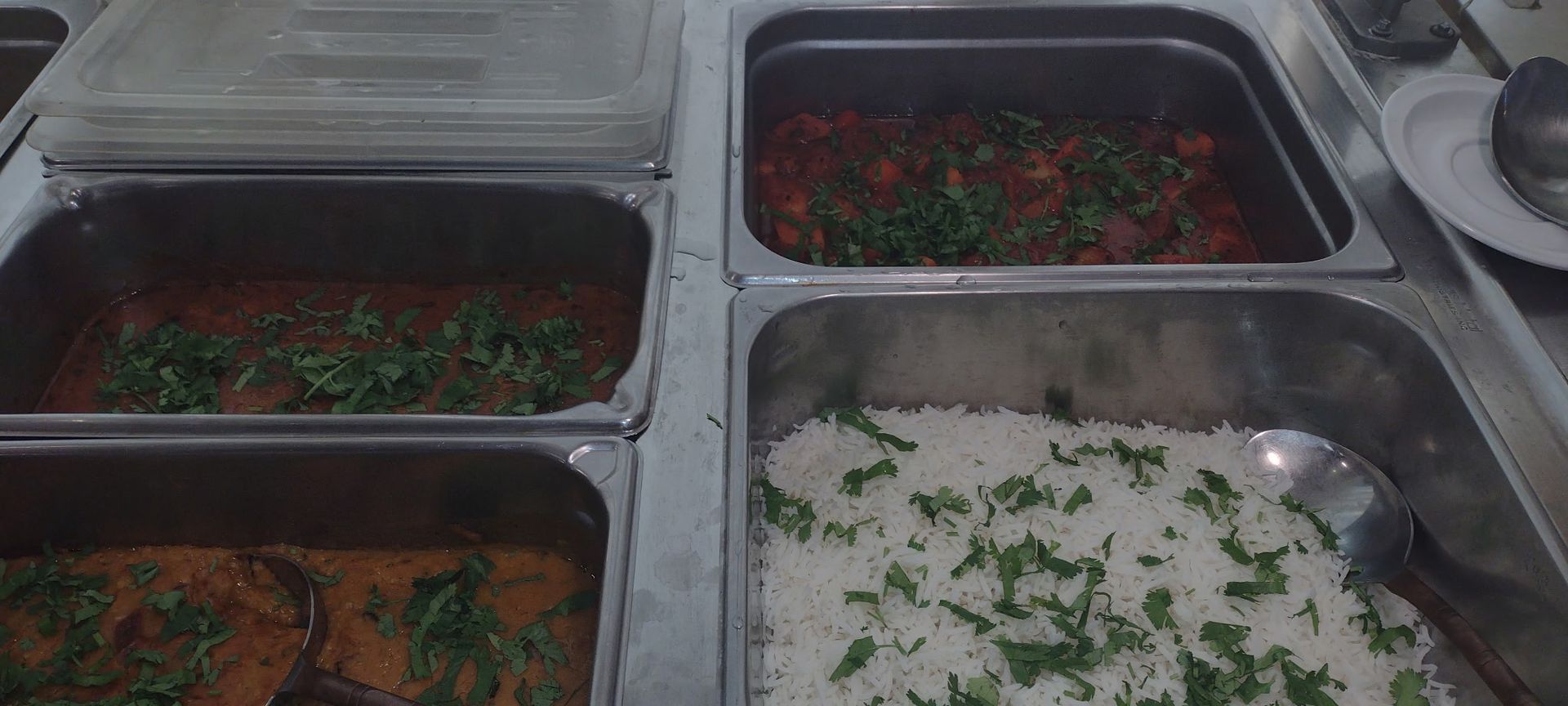 Buffet with several trays of food, including rice, and dishes topped with cilantro.