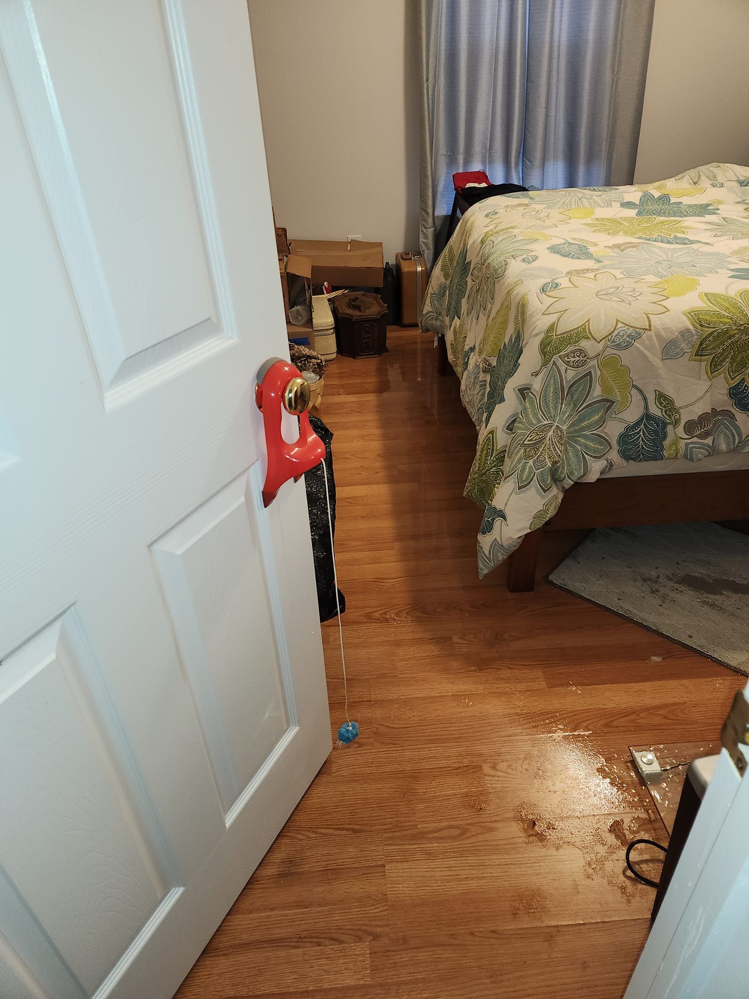 Open doorway into a cluttered bedroom: bed with floral cover, cardboard boxes, and wood floors.