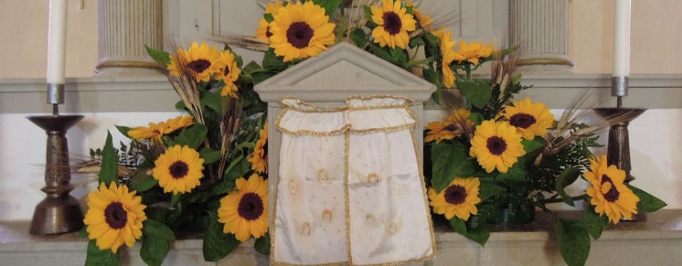 composizione con girasoli