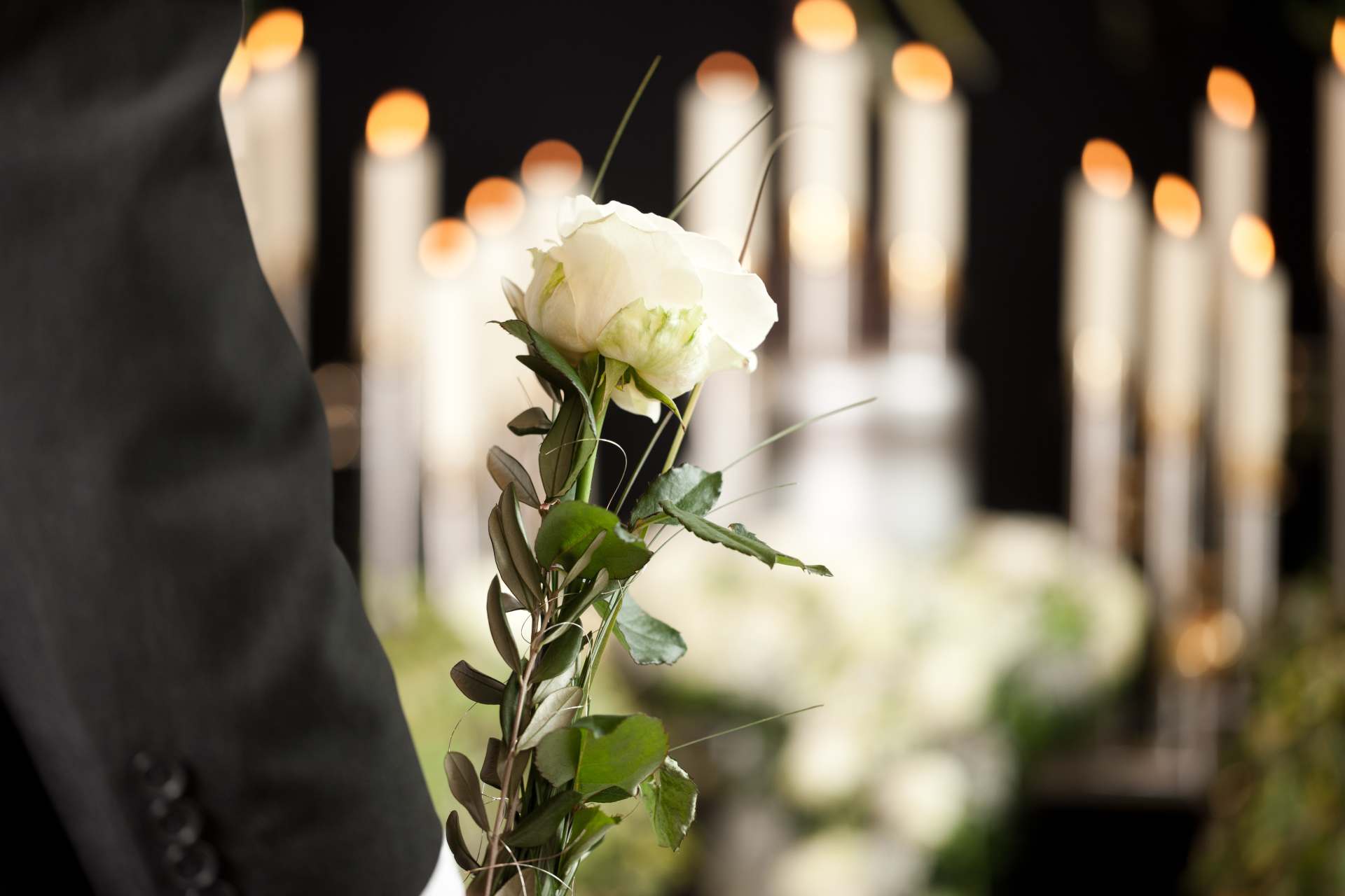 fiore singolo su sfondo di candele