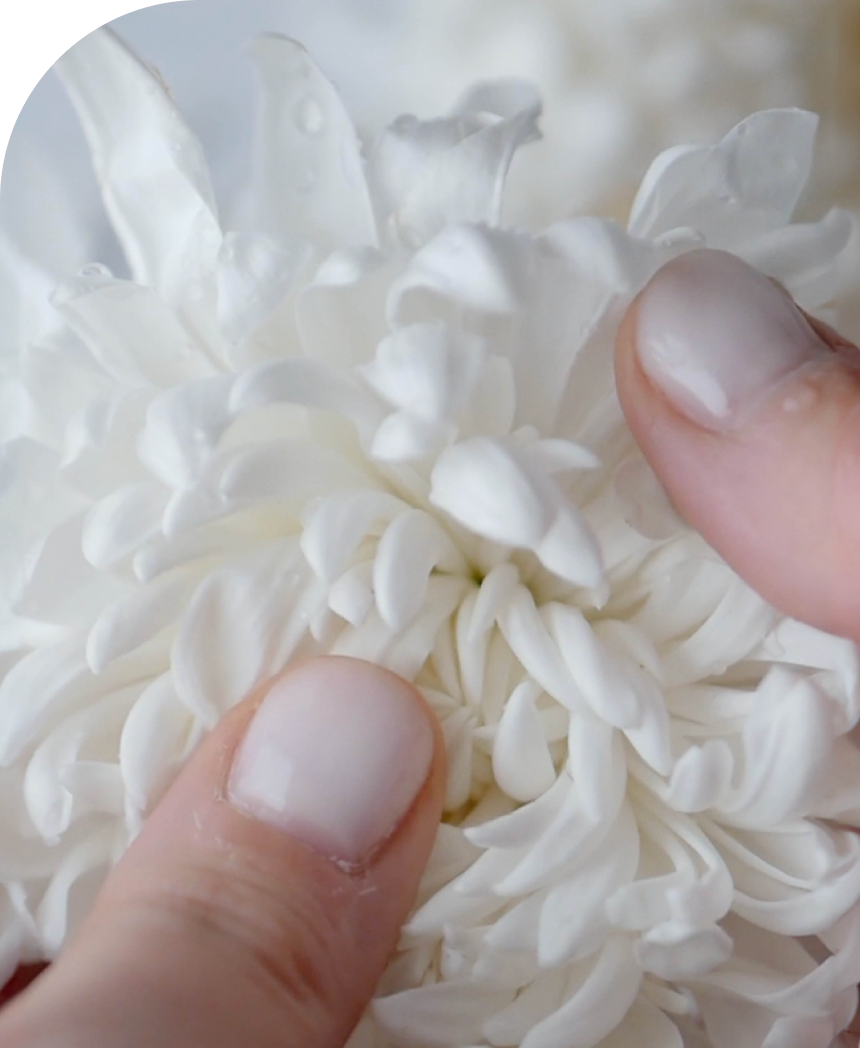 CCS Eyewear by Coco Song