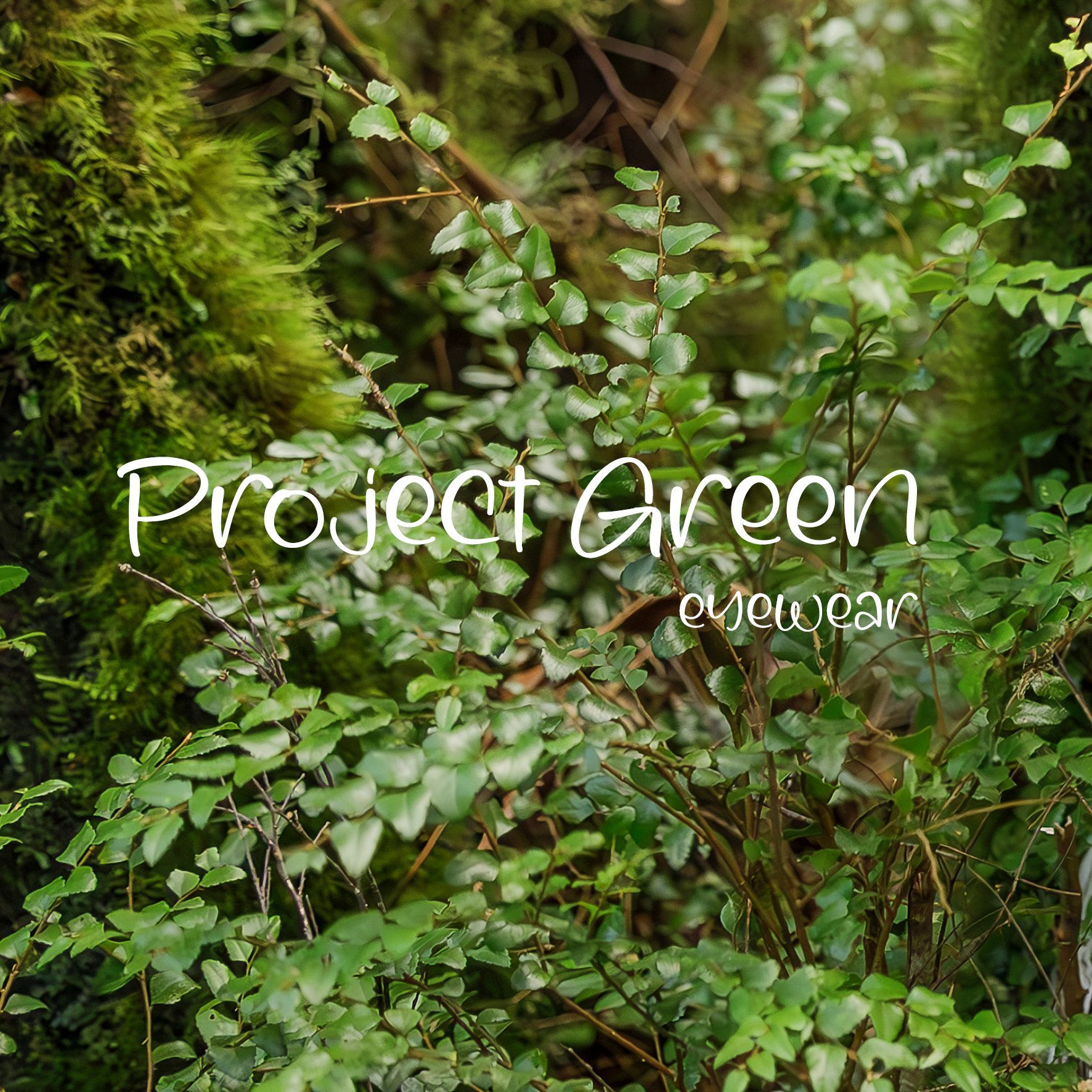 Project Green Eyewear