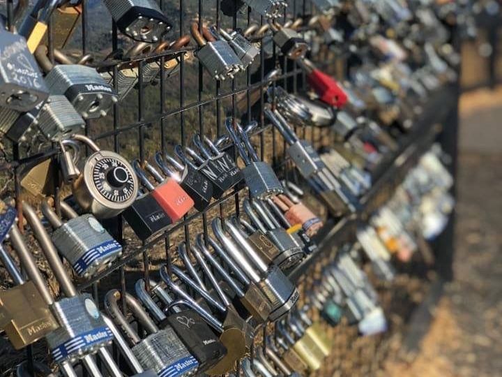 A bunch of padlocks are hanging on a fence.