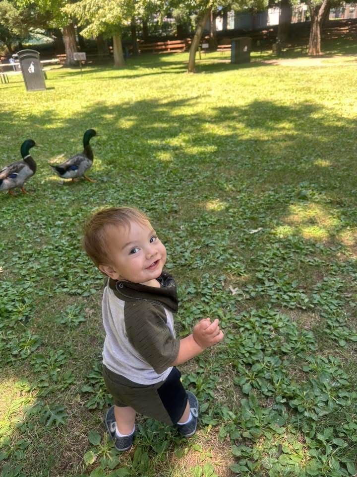 Toddler smiling in a grassy park, looking back near two ducks under trees.