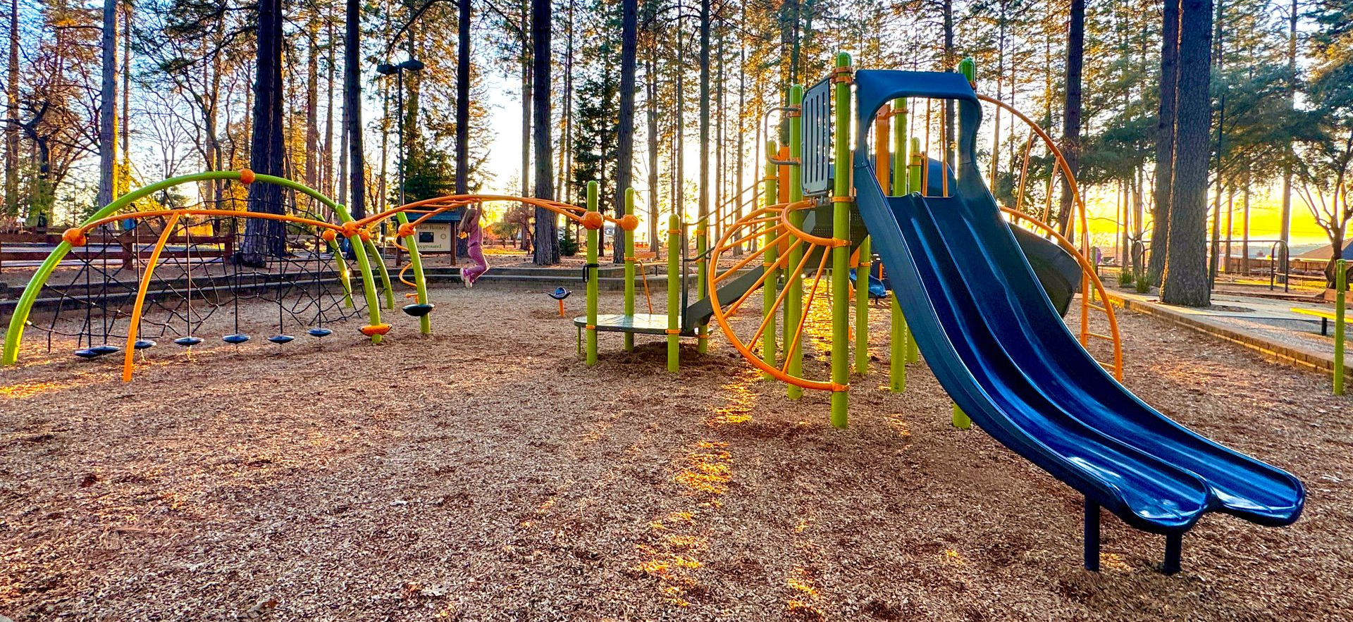 Playground with blue slide and swings among autumn trees and fallen leaves