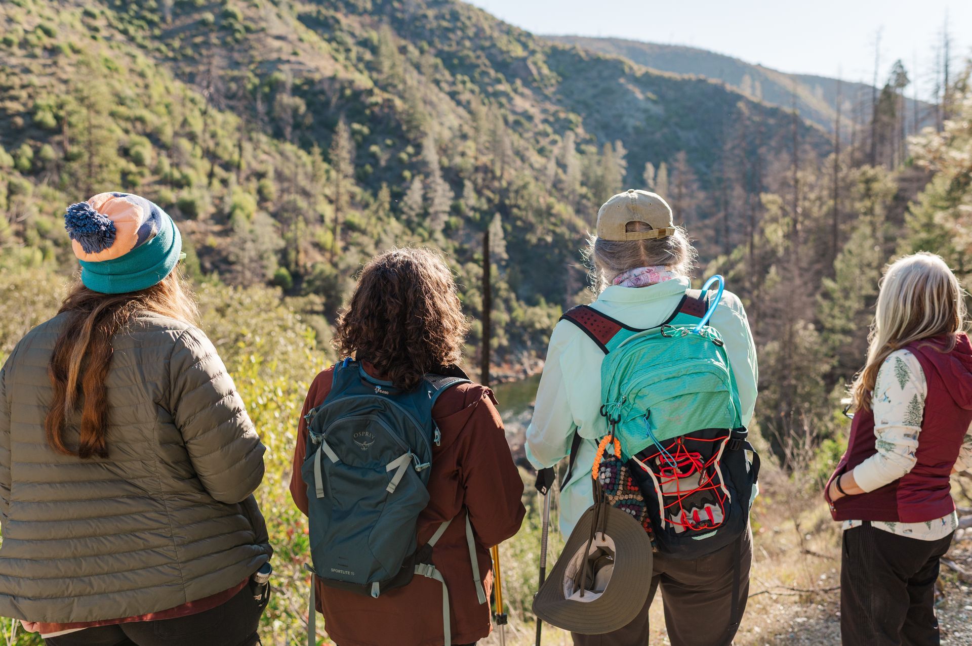 Four hikers looking at a mountain view; they wear backpacks and jackets, on a trail.