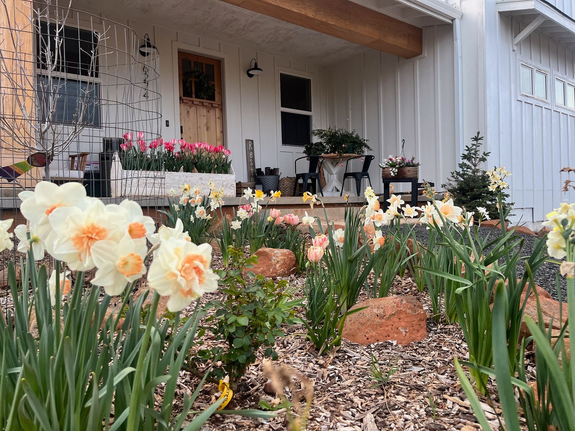 A bunch of flowers are growing in front of a house in Paradise and Magalia, California