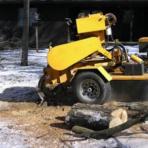 Stump Grinding By Experts From Cherish Tree Services